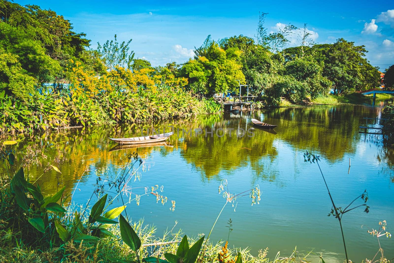 outdoor lifestyle kayaking at mangrove forest on summer vacation