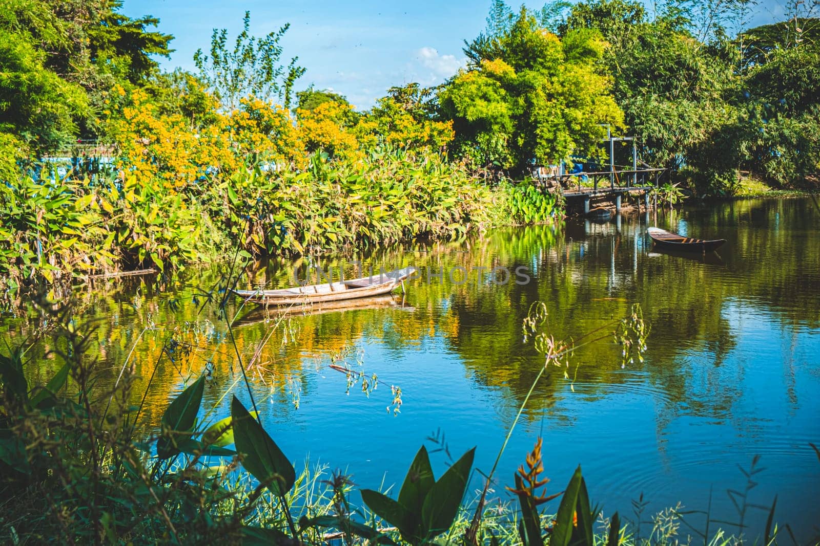 outdoor lifestyle kayaking at mangrove forest on summer vacation