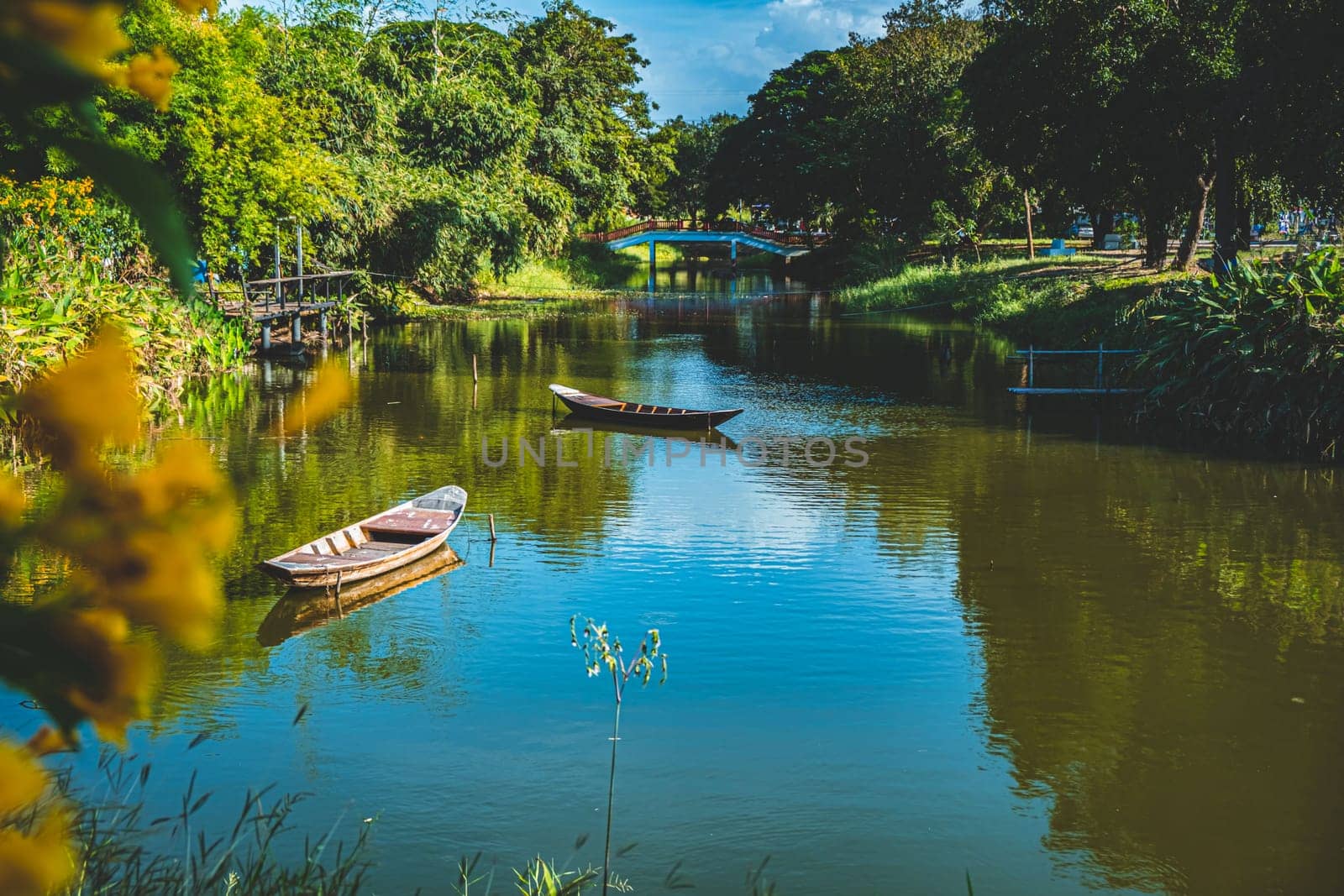 outdoor lifestyle kayaking at mangrove forest on summer vacation