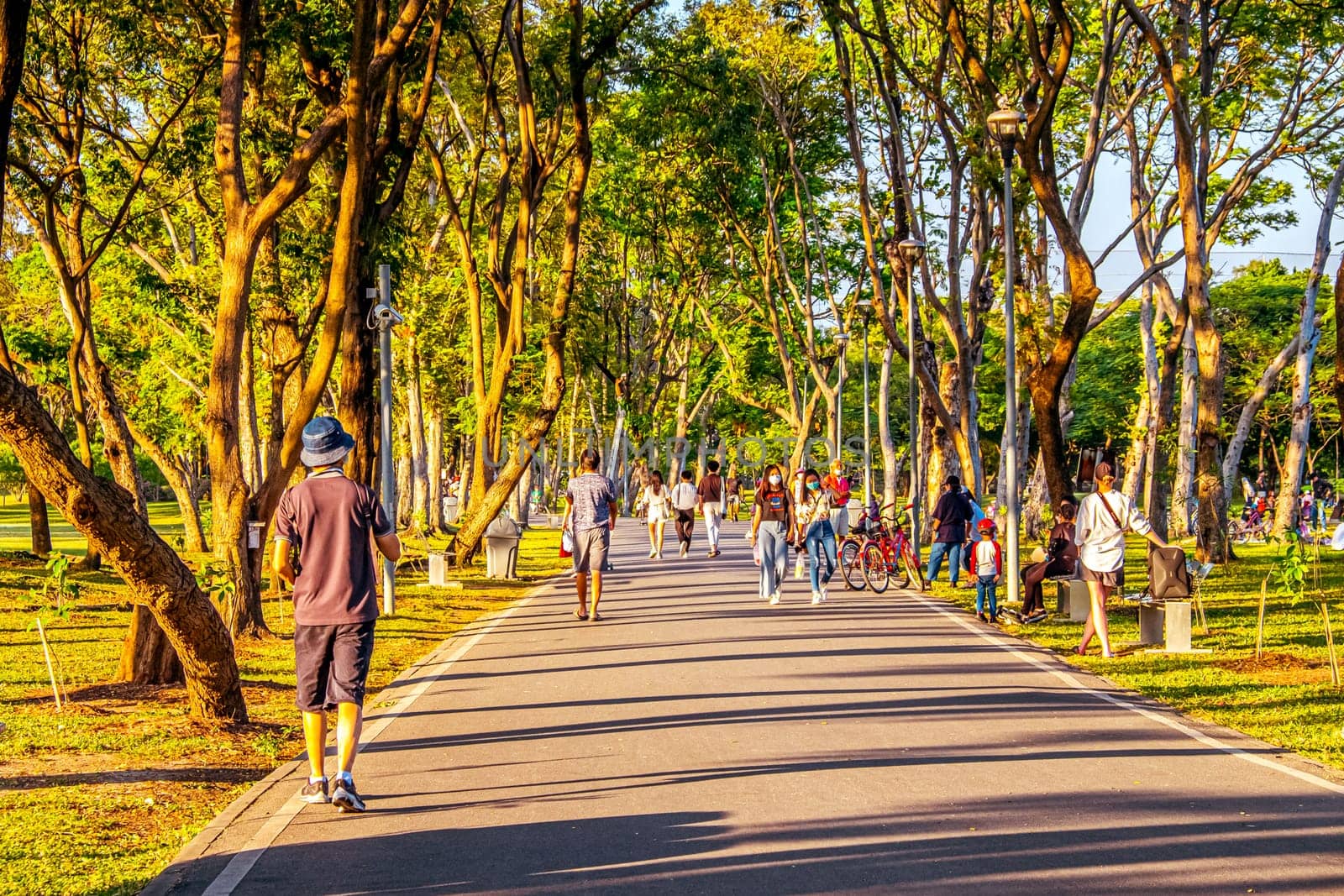 Jogging track in a park