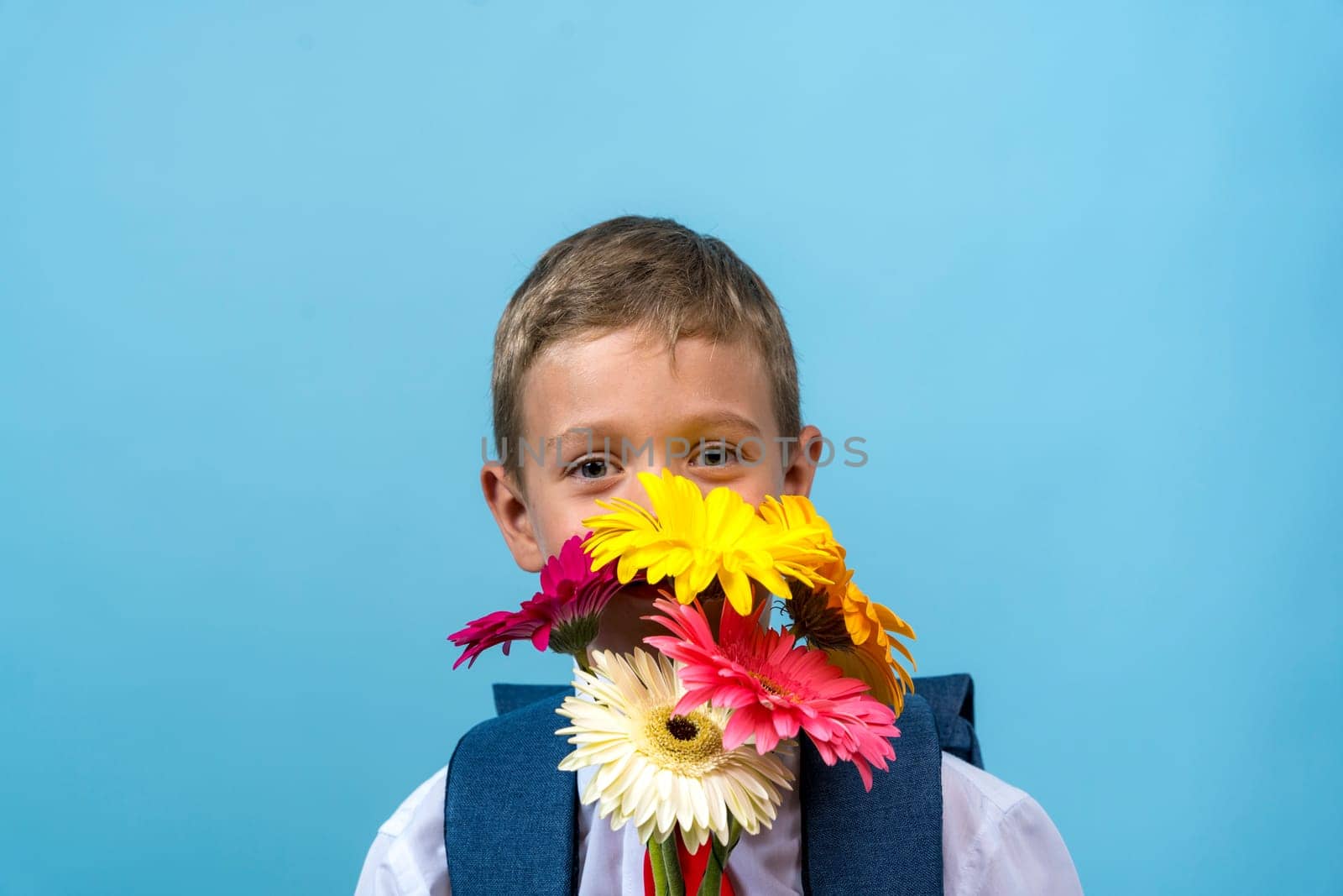 a funny first grader in a white shirt with a backpack holds a bouquet of flowers in his hands and cunningly looks out from behind the bouquet looking at the camera. Cute Caucasian boy goes to school. Schoolboy. September 1st. for the first time in the first grade. blue background