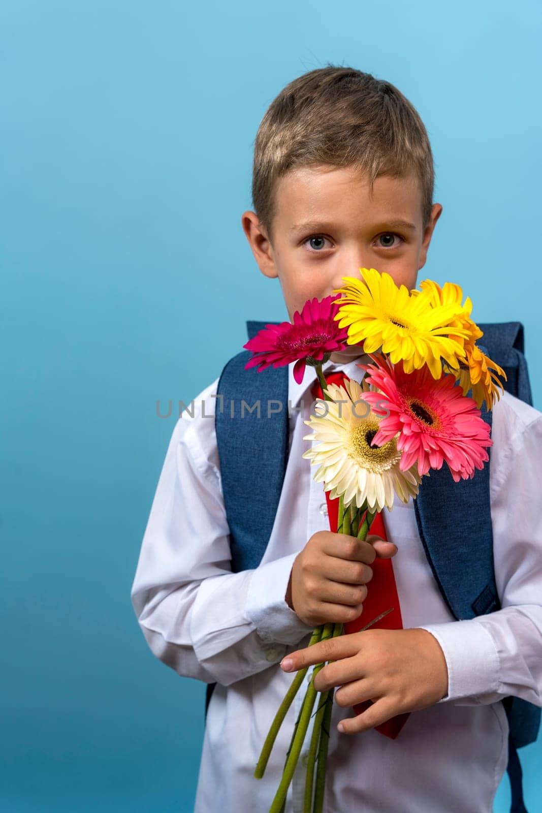 a funny first grader in a white shirt with a backpack holds a bouquet of flowers in his hands and cunningly looks out from behind the bouquet looking at the camera. Cute Caucasian boy goes to school. Schoolboy. September 1st. for the first time in the first grade. blue background. vertical photography