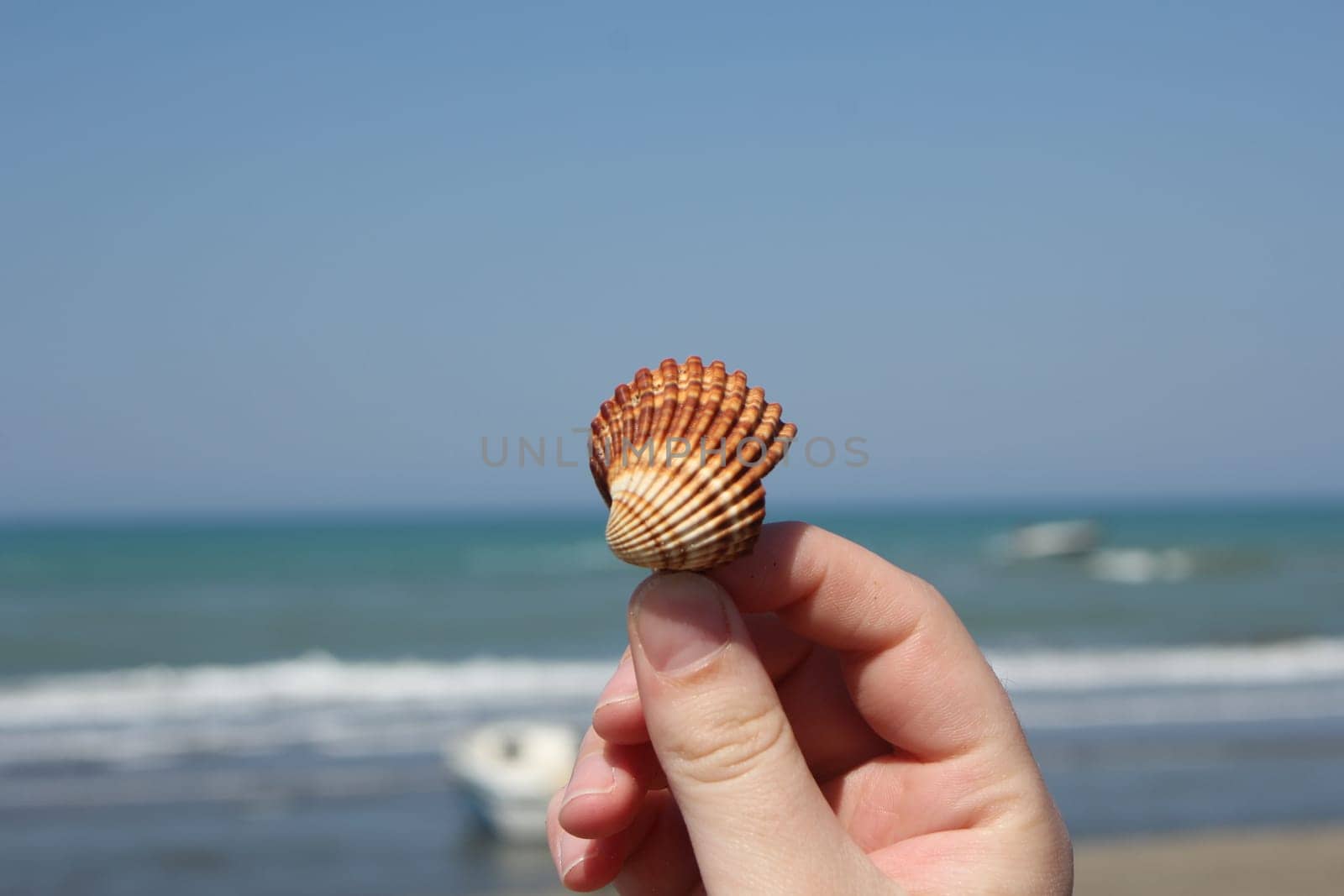 Girl hand holding sea shell. Sea, sky and the horizon on the background, defocused. Selective focus