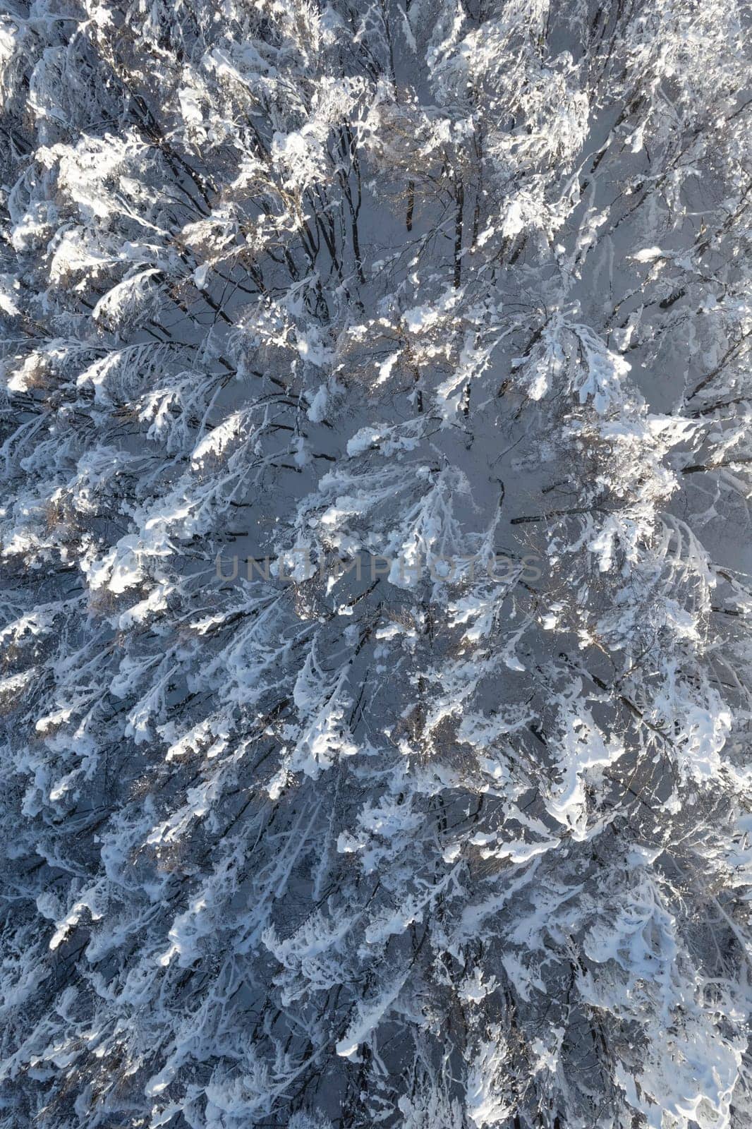 Aerial photographic documentation of a completely snow-covered forest 