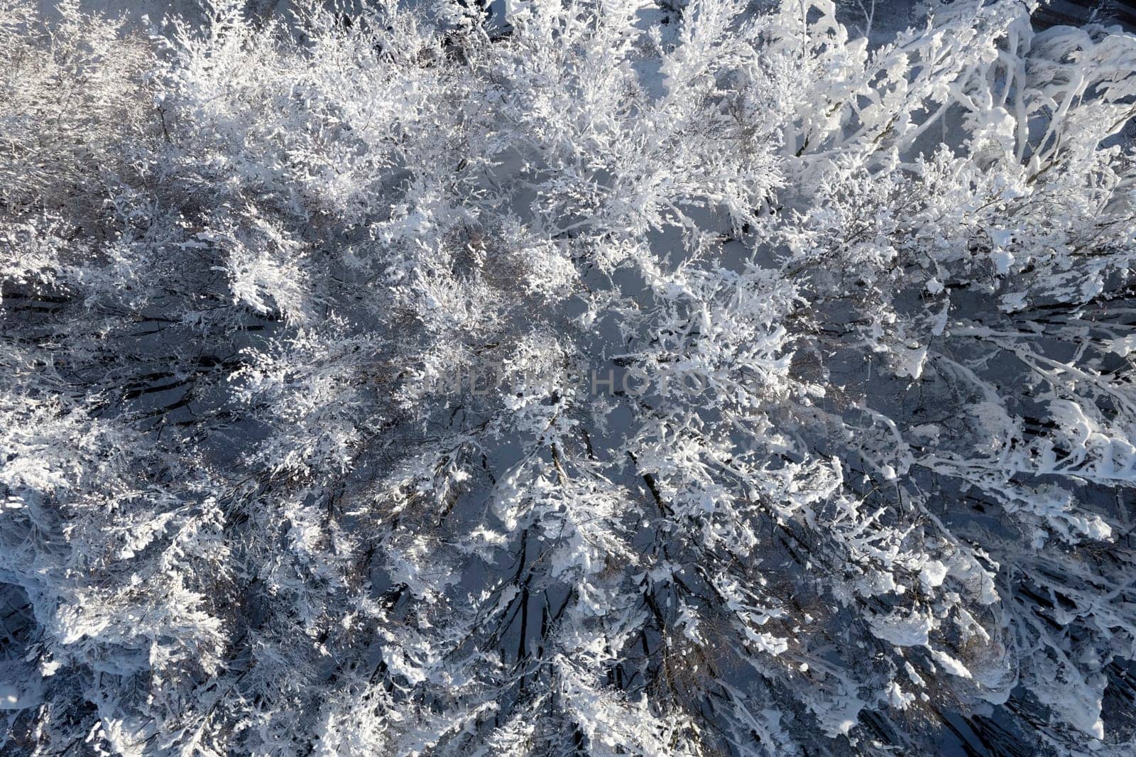 Aerial photographic documentation of a completely snow-covered forest 