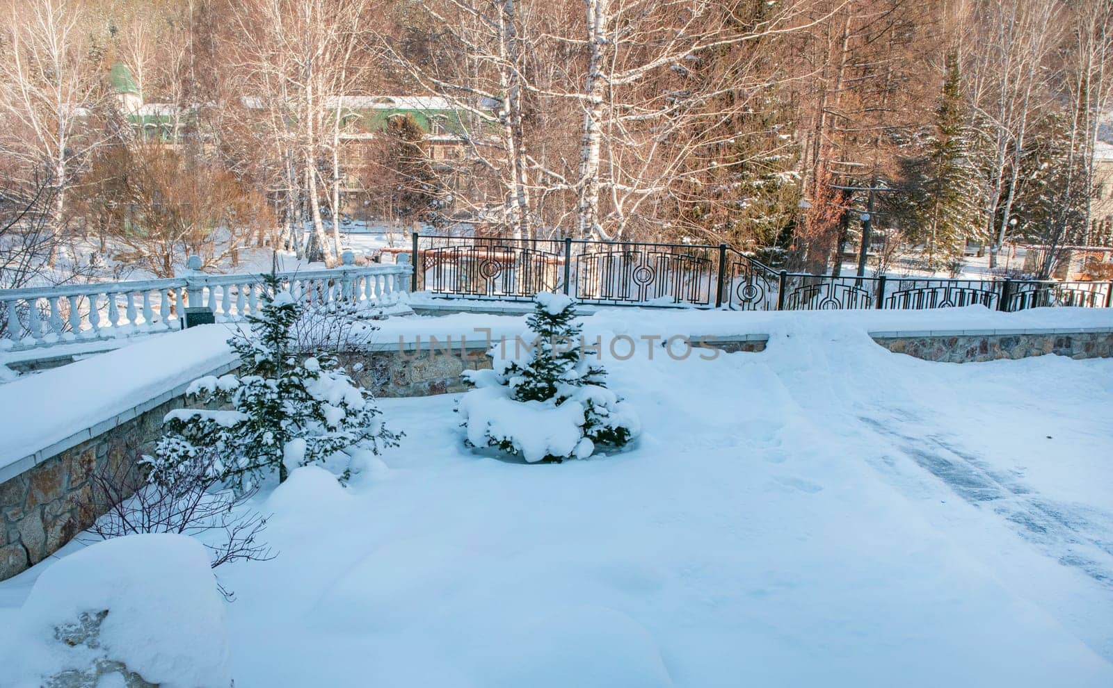 A snow-covered park with a stone balustrade and fence is visible, the house is visible through the trees in the background, in a charming winter landscape.