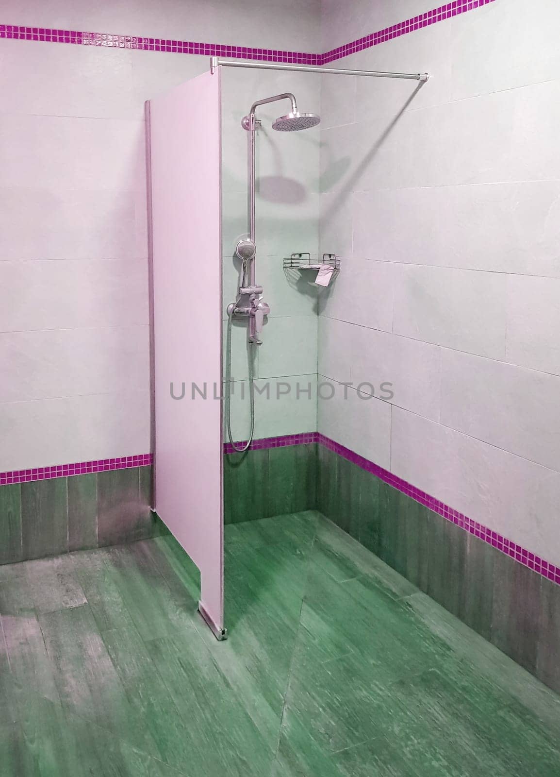 Shower with watering can and partition in the pool, modern interior.
