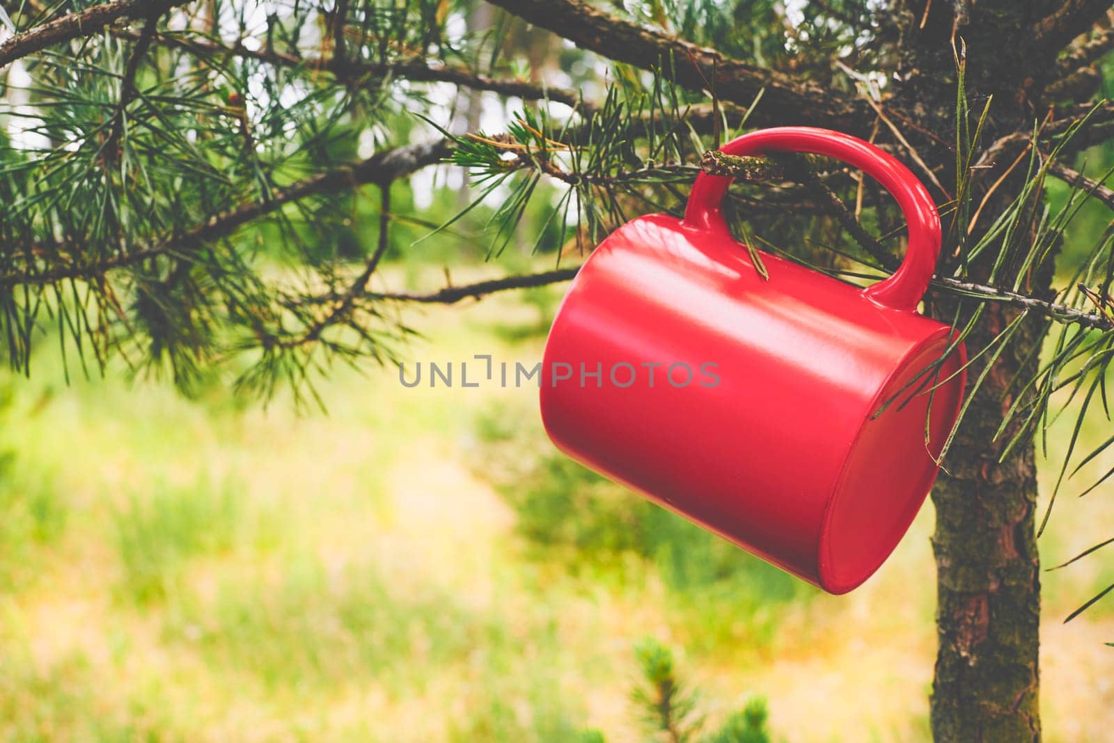 Mug red cup for a drink hanging on a tree in the twilight of a summer day by jovani68