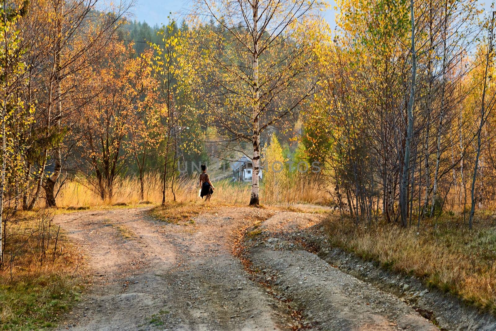 A girl hiking walks a dirt road in the mountains in haze on a golden autumn day by jovani68