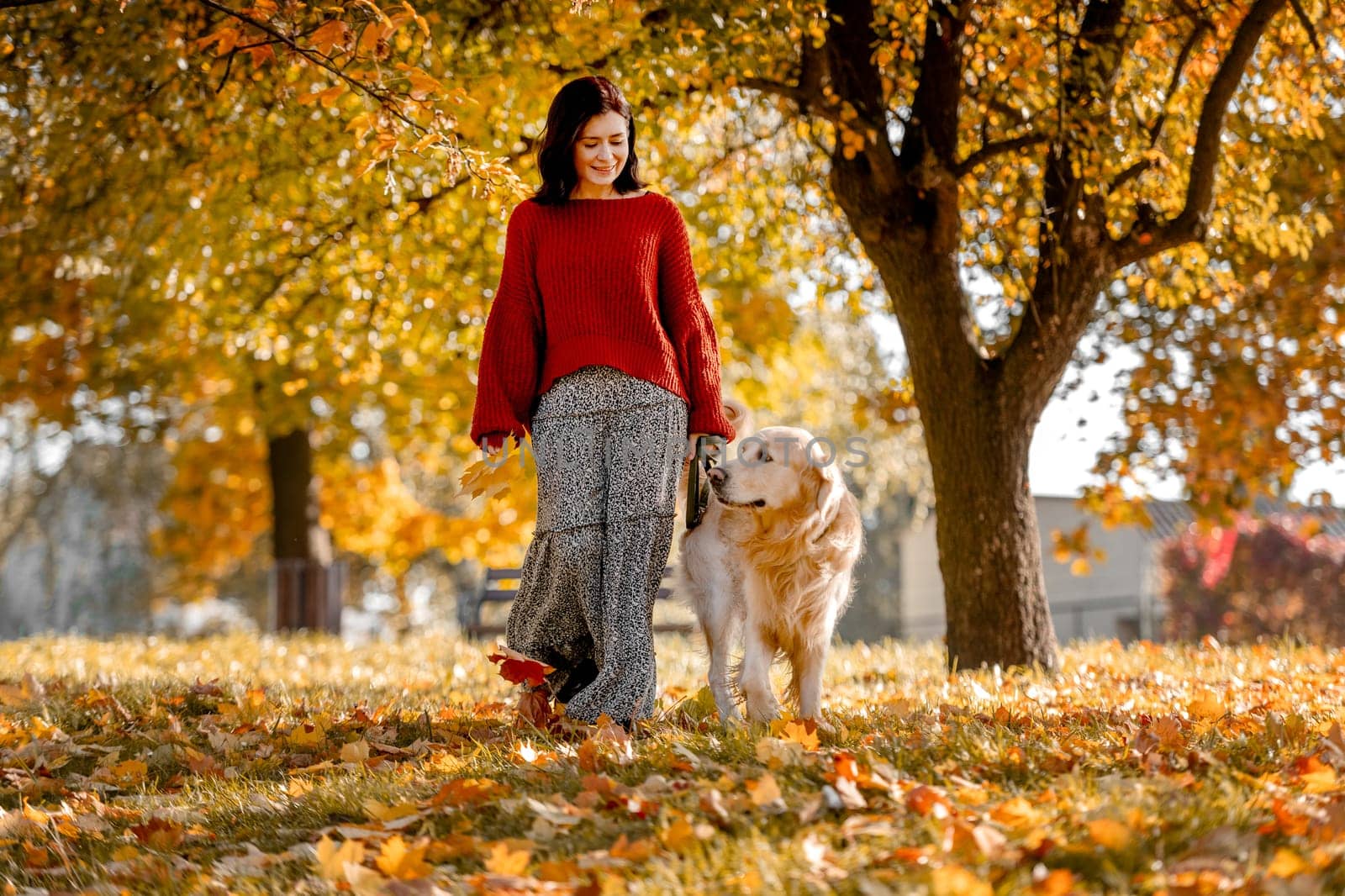 Beautiful girl with golden retriever dog in autumn park by tan4ikk1