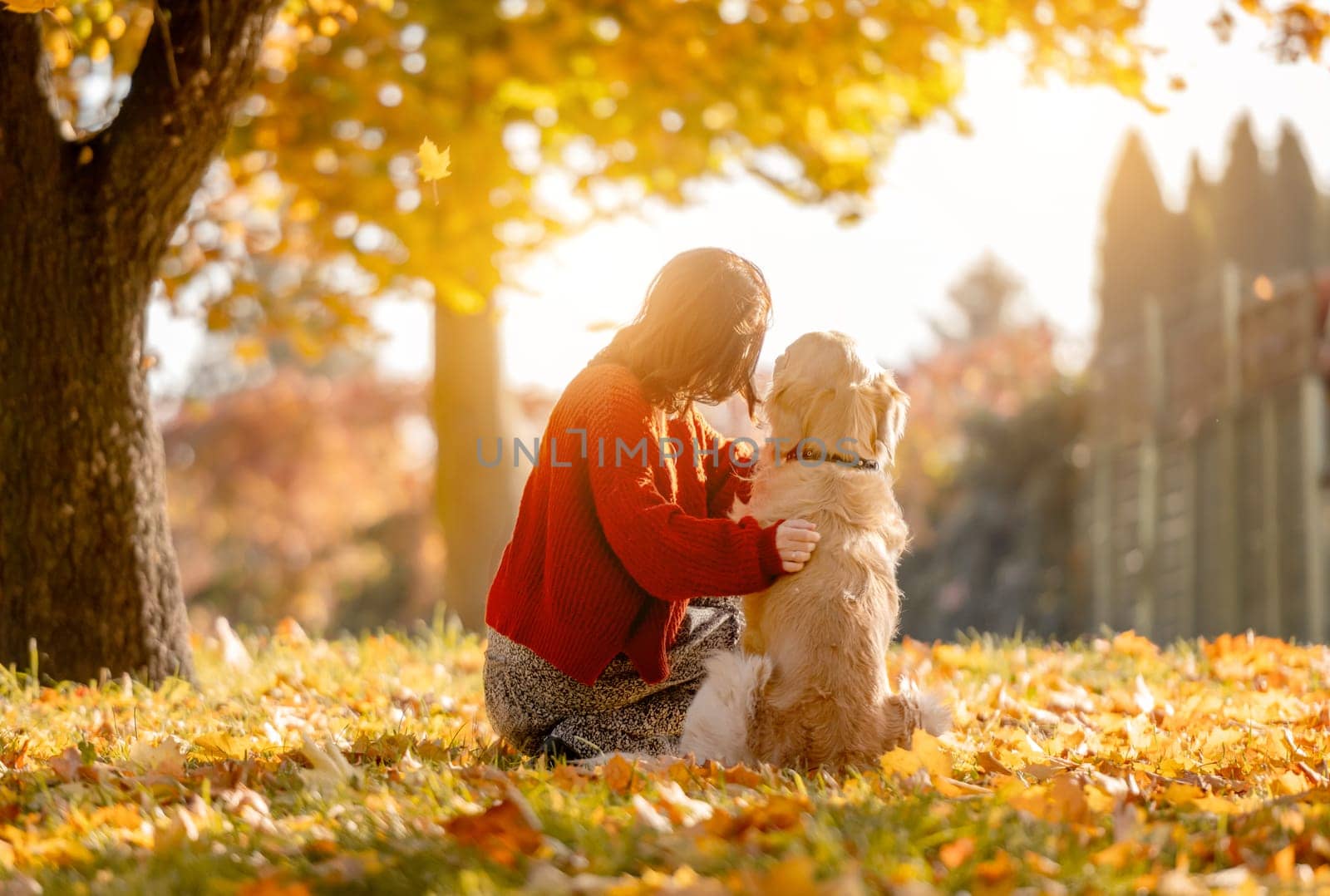 Beautiful girl with golden retriever dog in autumn park by tan4ikk1