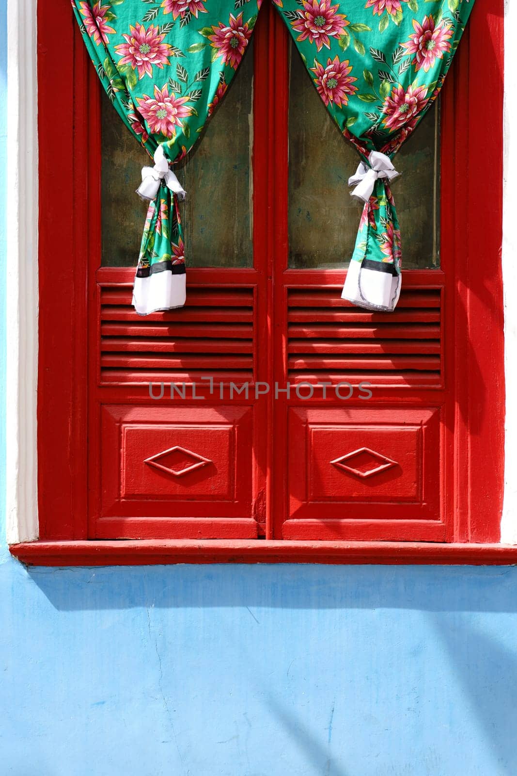 Colorful Red Window with Green Flowered Curtains and Blue Facade by FerradalFCG