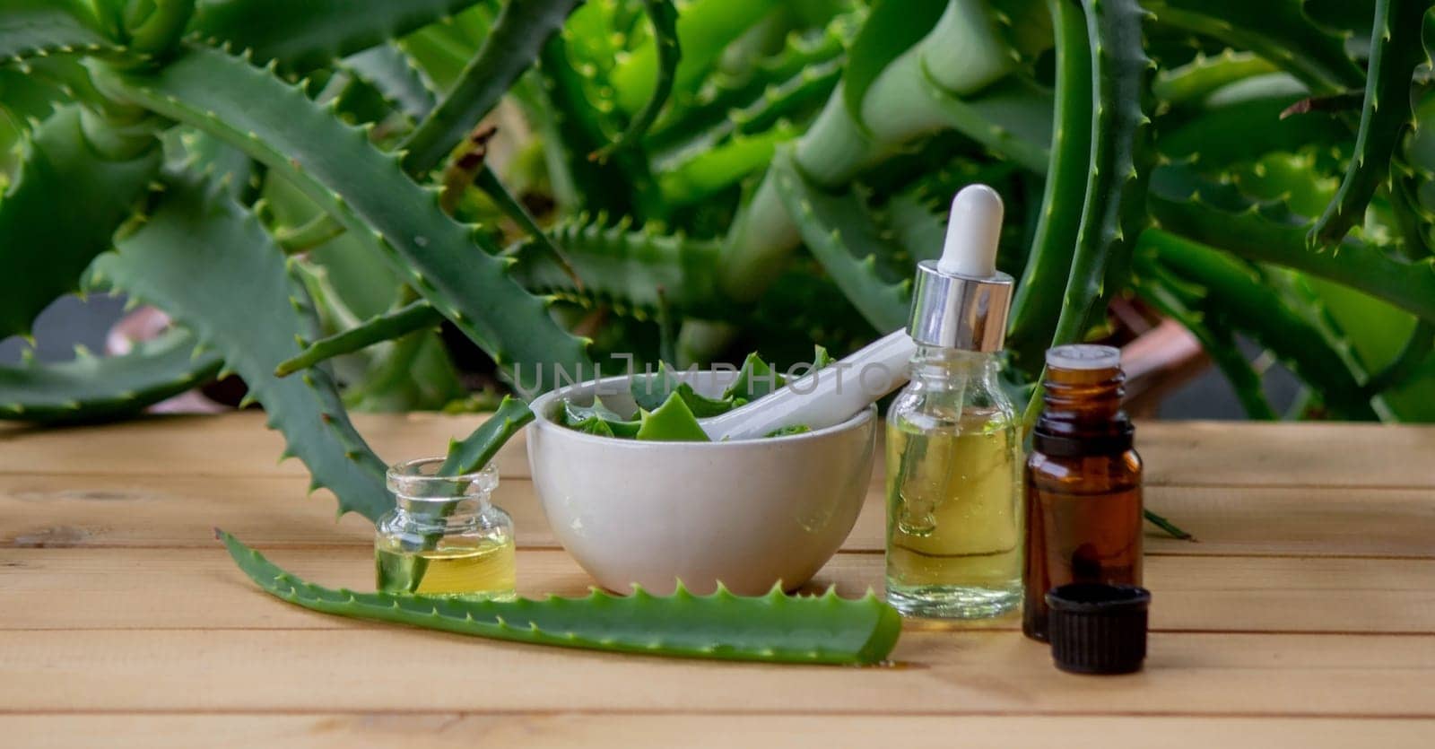 aloe vera essential oil on a wooden background, juice. Selective focus