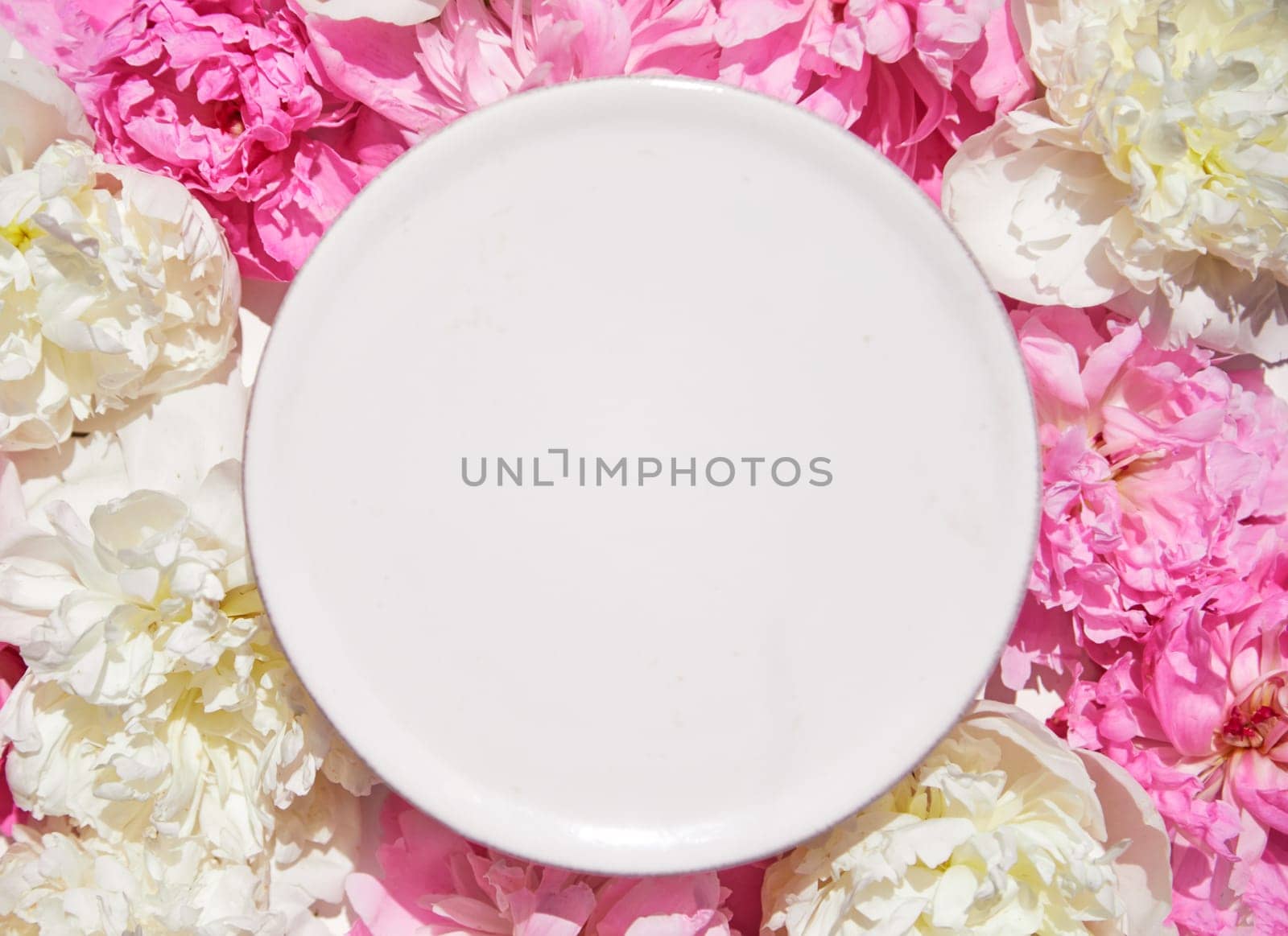 Beautiful frame with floral pions background. Free space for your design, mockup