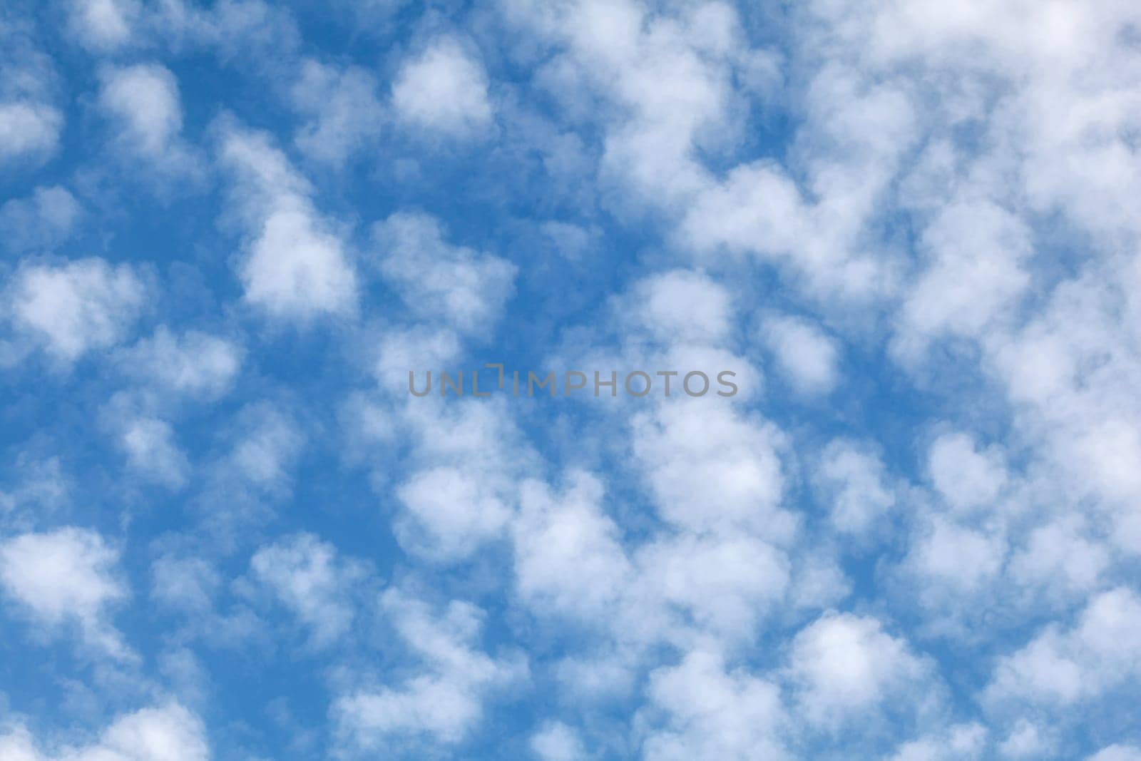 Autumn sky with small fluffy sky.