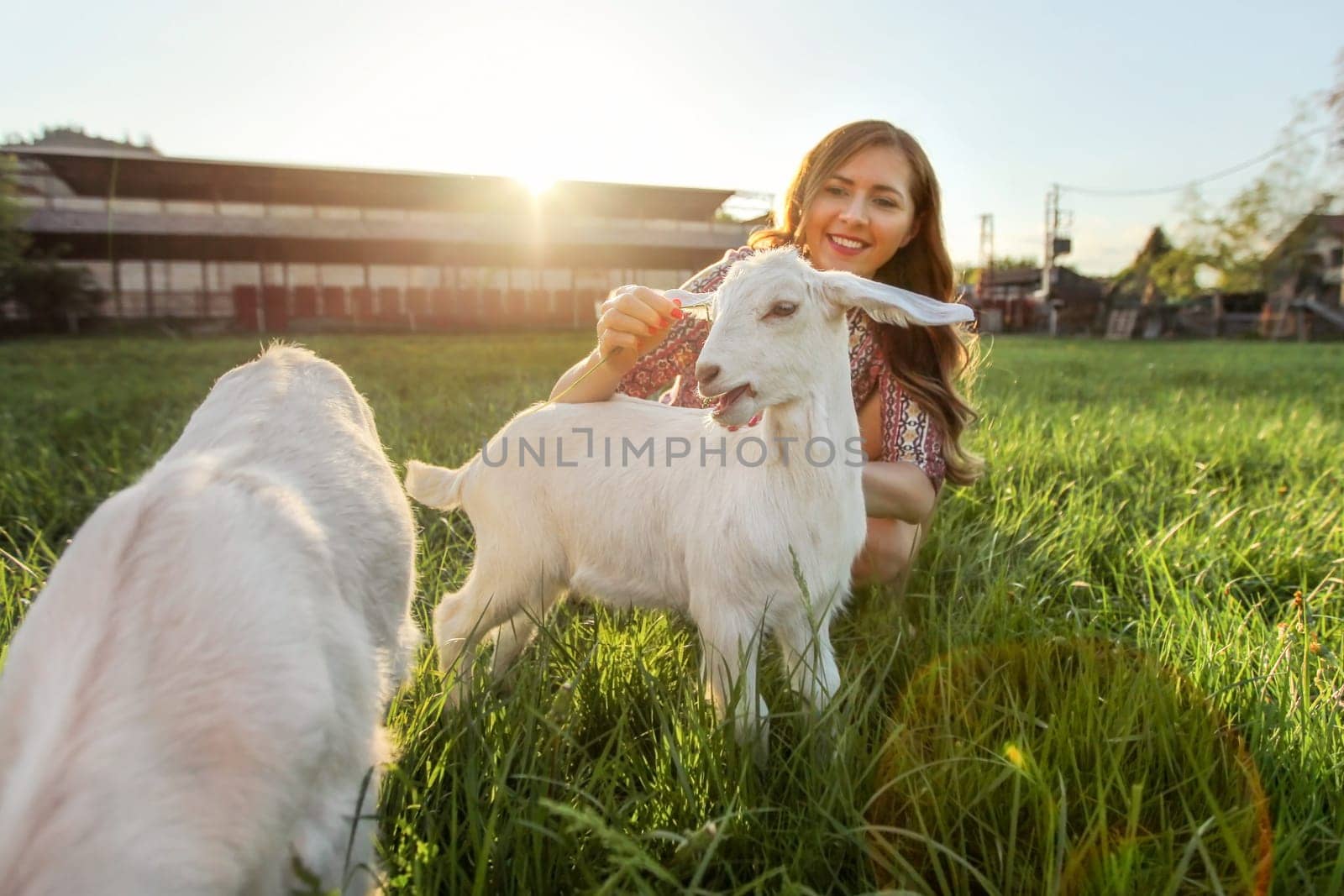 Young woman plays with goat kids, feeding them, sun shining over farm in background.