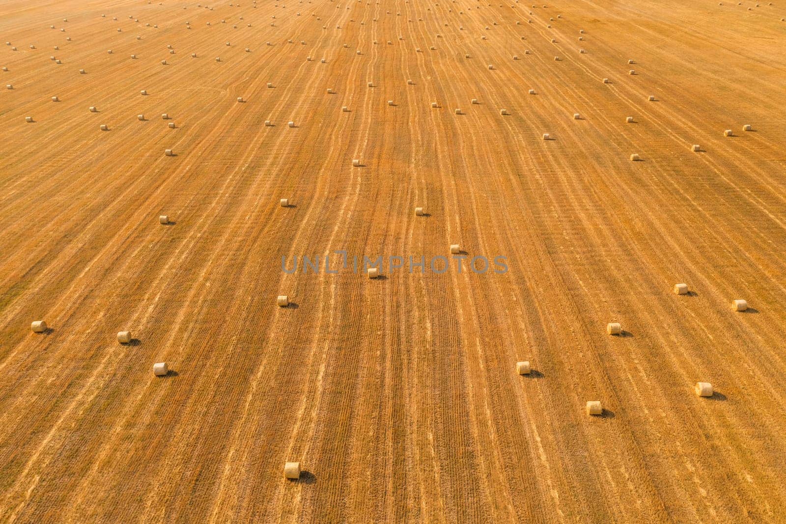 Aerial view of hay bales on agricultural field after harvest. Farm landscape. Drone perspective view of yellow cut grass striped pattern on field with many velour grasses bales. Dry fodder. Haying.