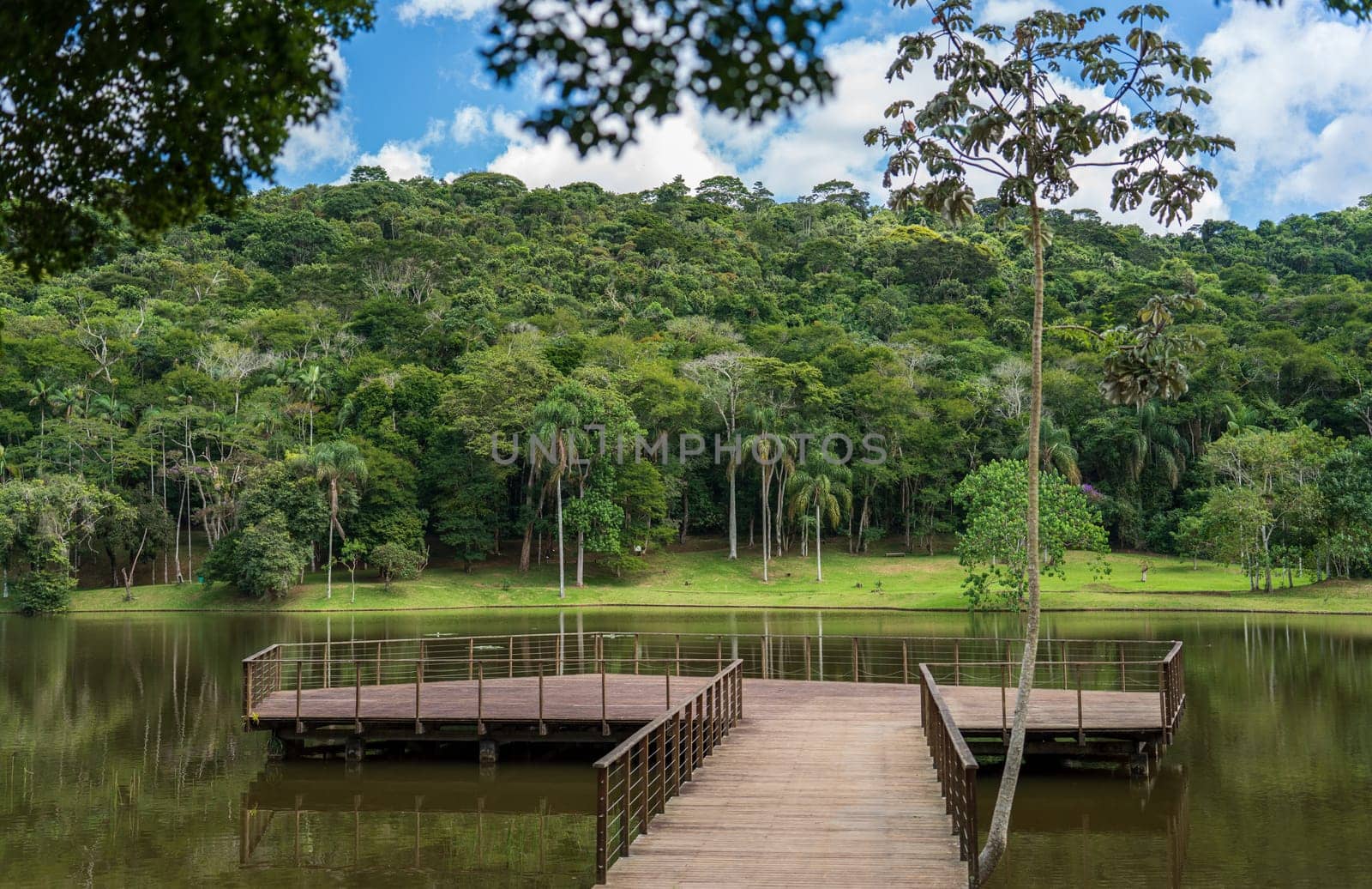 Enjoy a tranquil scene on this wooden jetty in the middle of a small lake, offering a serene view of the botanical garden and Atlantic forest in the background.