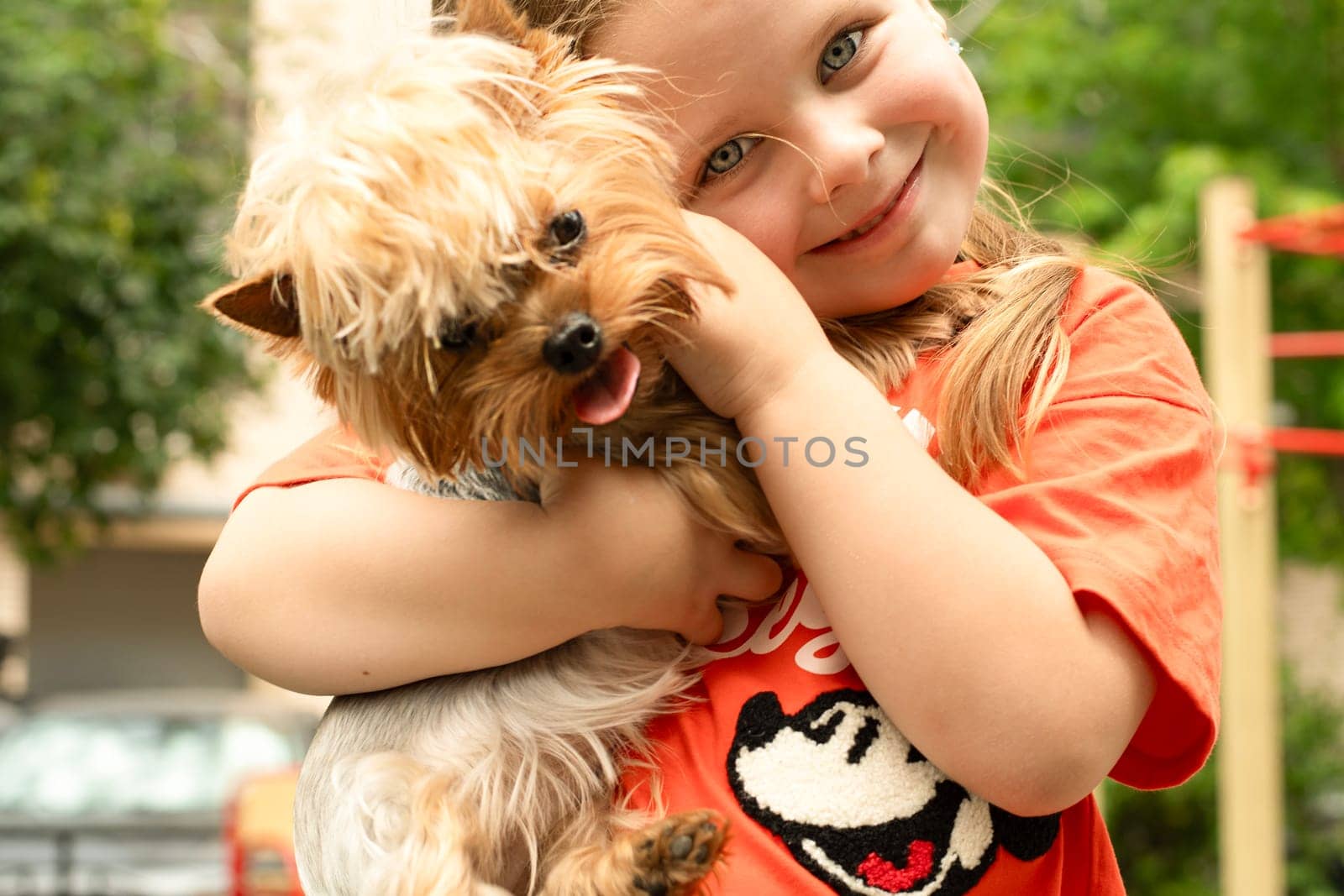 Child and dog on the street. A beautiful girl with blue eyes, 5 years old, holds a dwarf dog of the Chihuahua breed in her arms, smiles sweetly