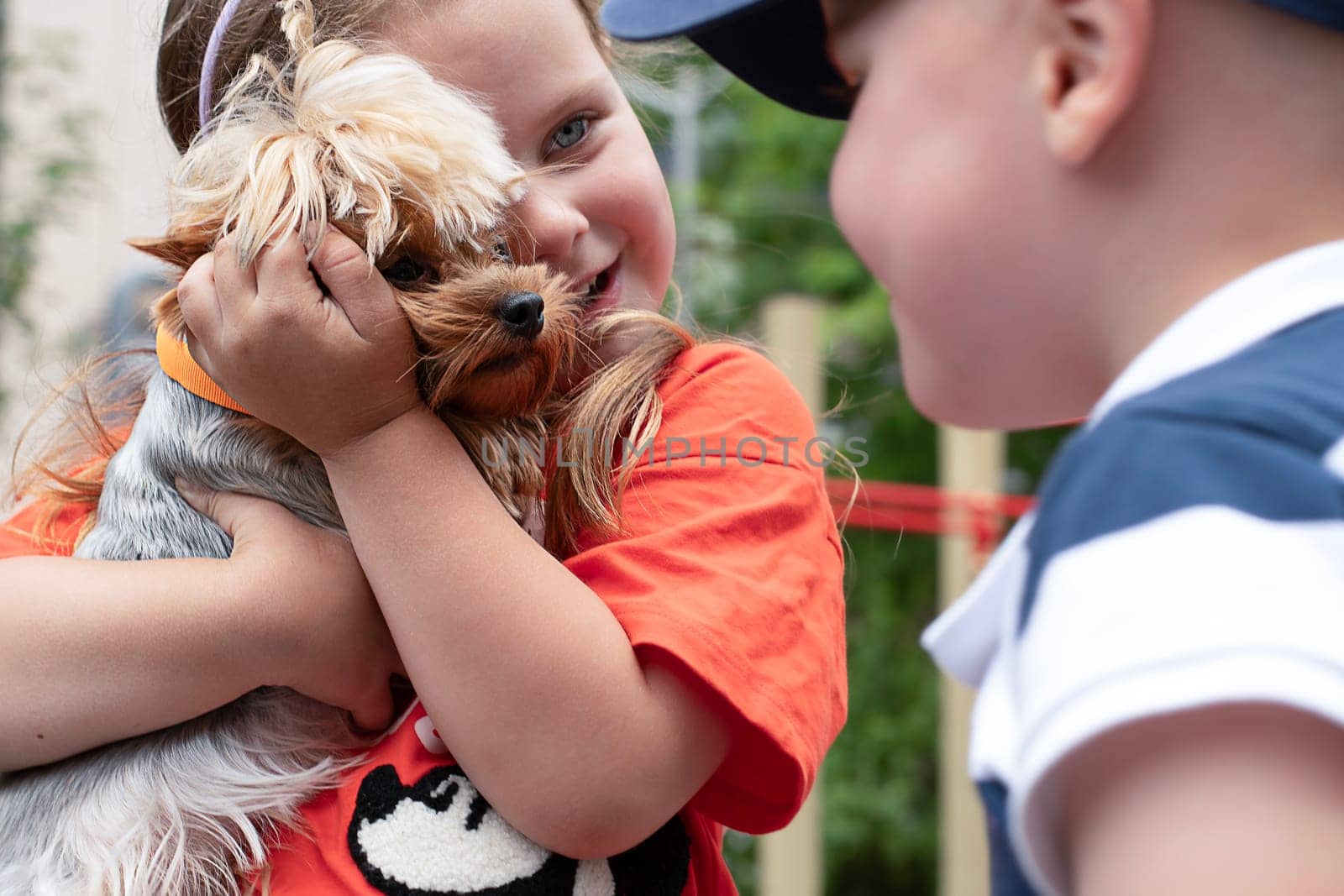 A boy and a girl of 5 years old are playing with a small dog of the Chihuahua breed outside in the yard in summer. The girl tightly hugs and holds a dwarf dog in her arms. Close-up.