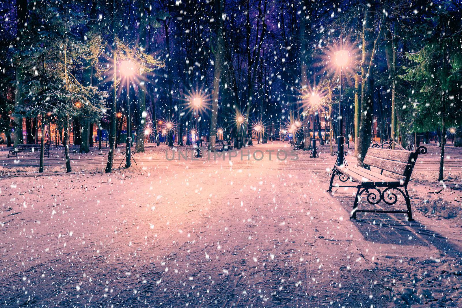 Snowfall in a winter park at night with christmas decorations, lights and  pavement covered with snow. Falling snow.