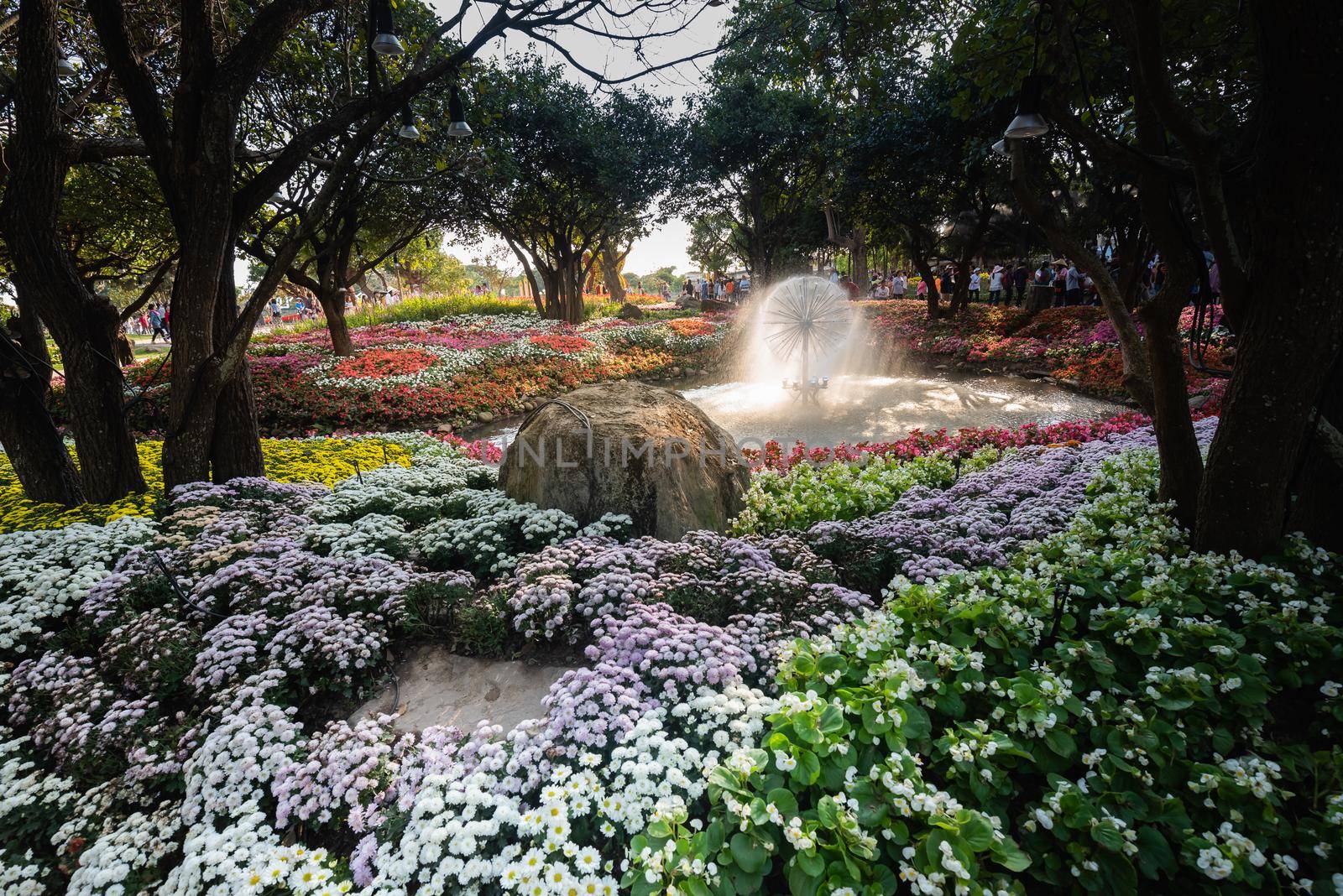 Chiang Rai, Thailand - JANUARY 02, 2016: Flowers Blooming at the Chiang Rai Flower Festival and Music in the Park 2016 by Wmpix