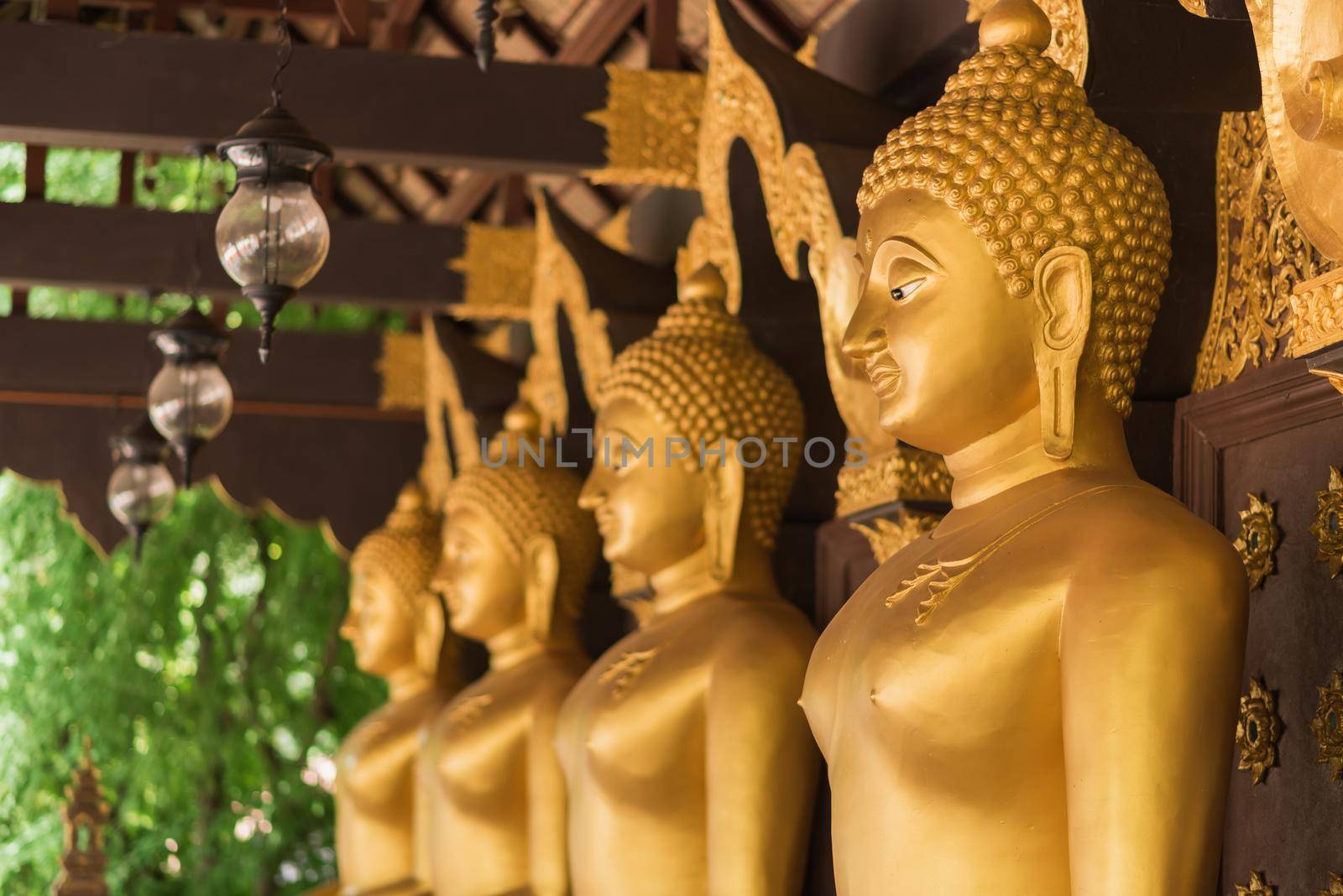 Row of golden buddha in the temple, Thailand by Wmpix