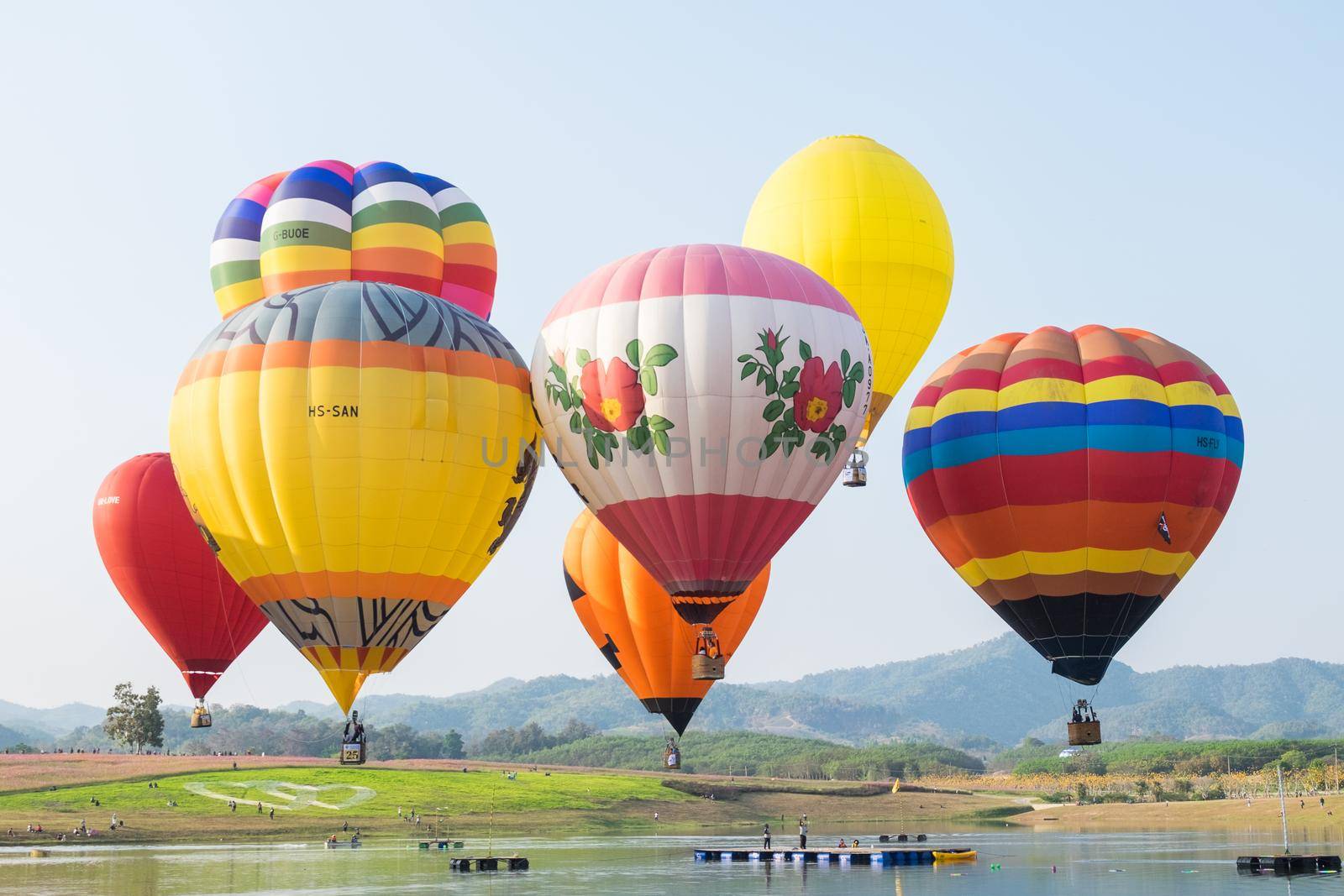 The hot air balloons flying over river and the cosmos flowers field in Singha park international balloons fiesta 2017 in Chiang Rai province of Thailand. by Wmpix