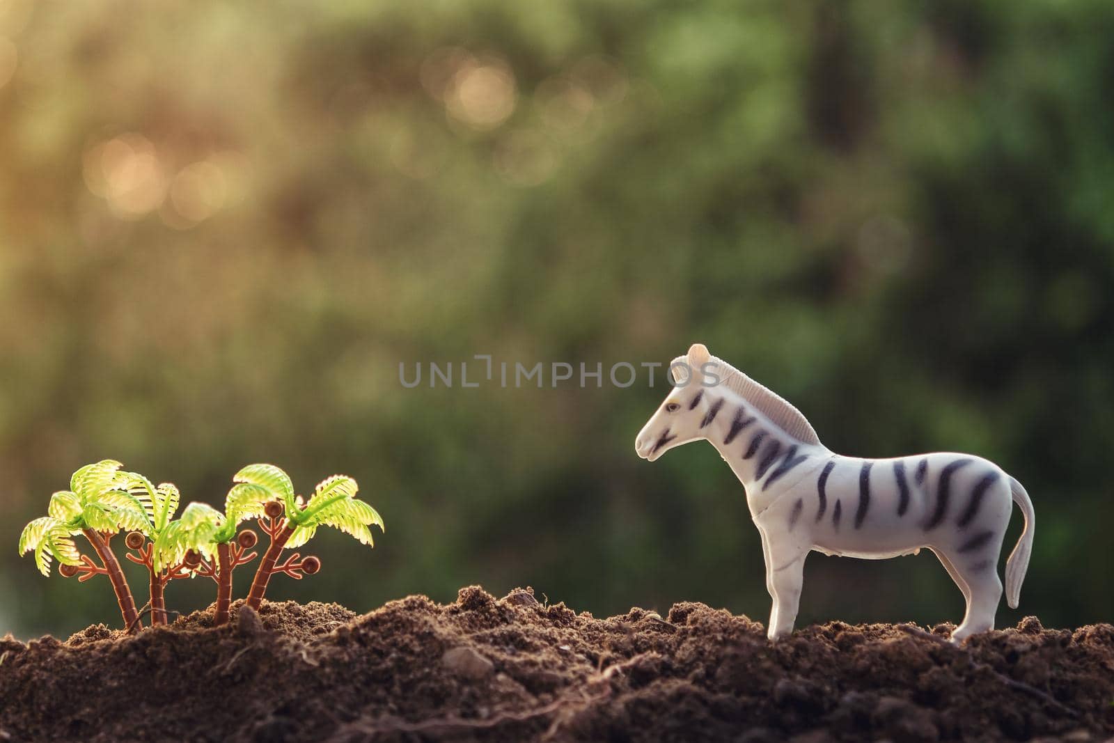 toy zebra at sunset