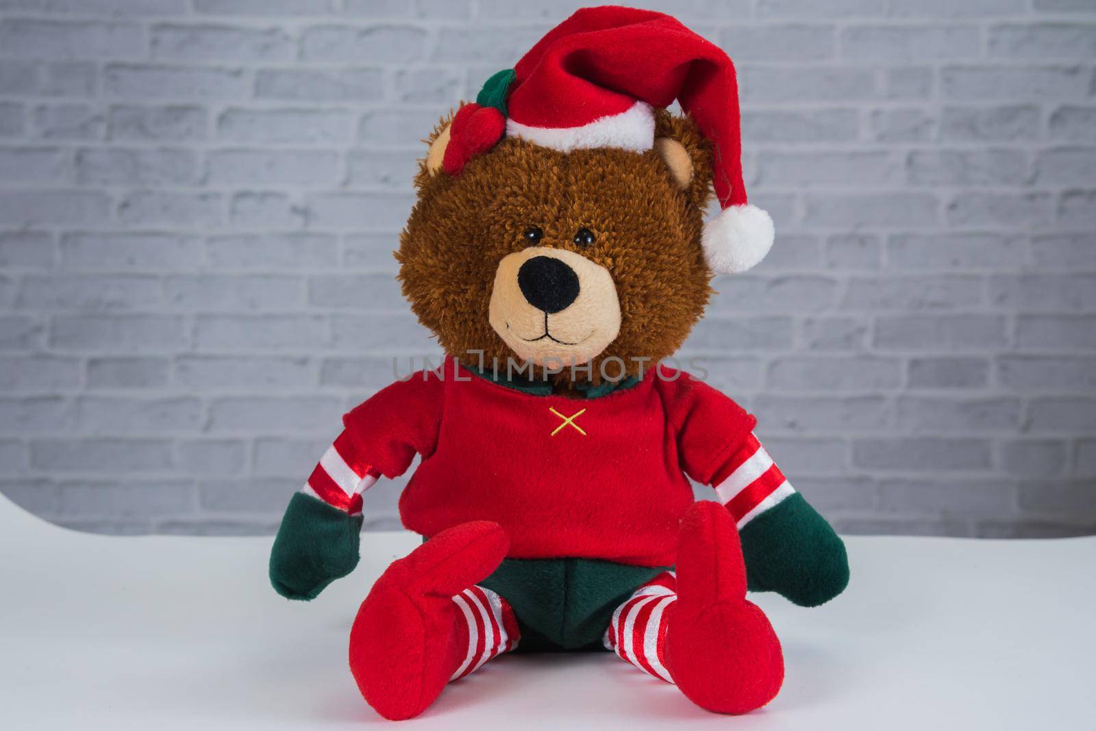 teddy bear wearing chrismas shirt isolated on a gray background