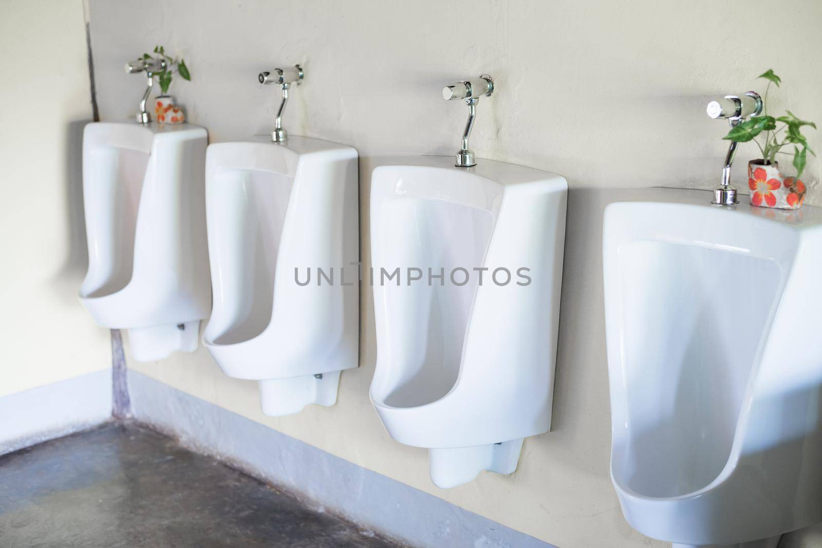 White Urinals in the public men's toilet