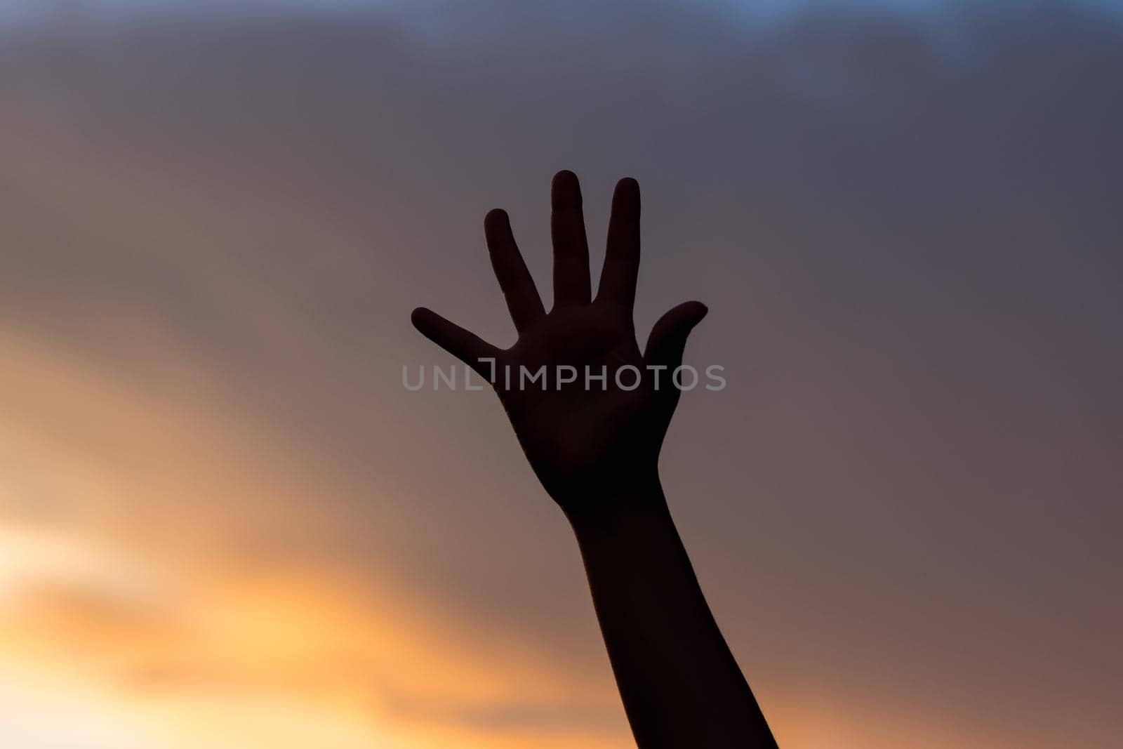 hand girl on sunset background