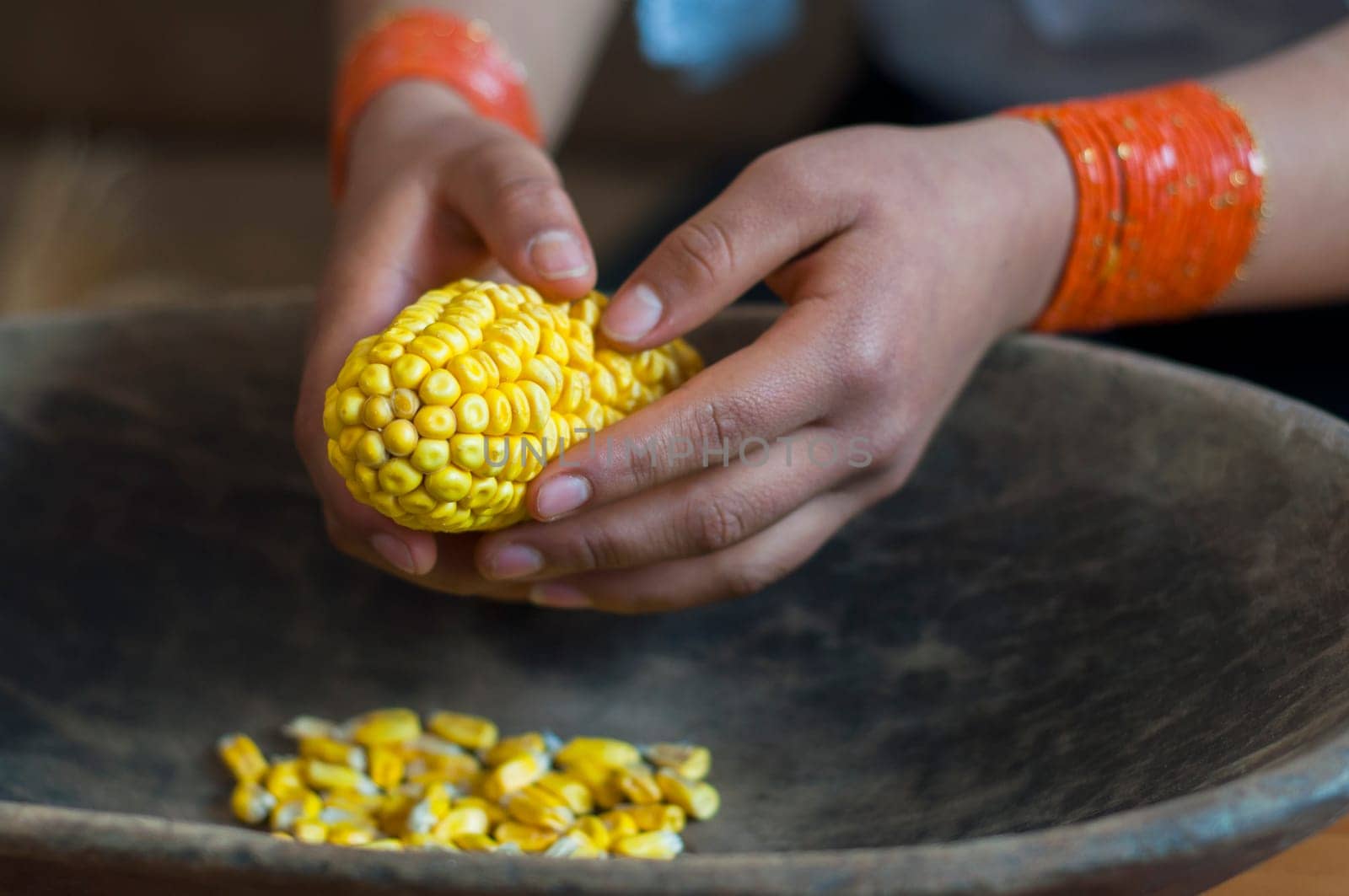 hands of a country woman grouping grains of yellow corn or sweet corn for cooking. High quality photo
