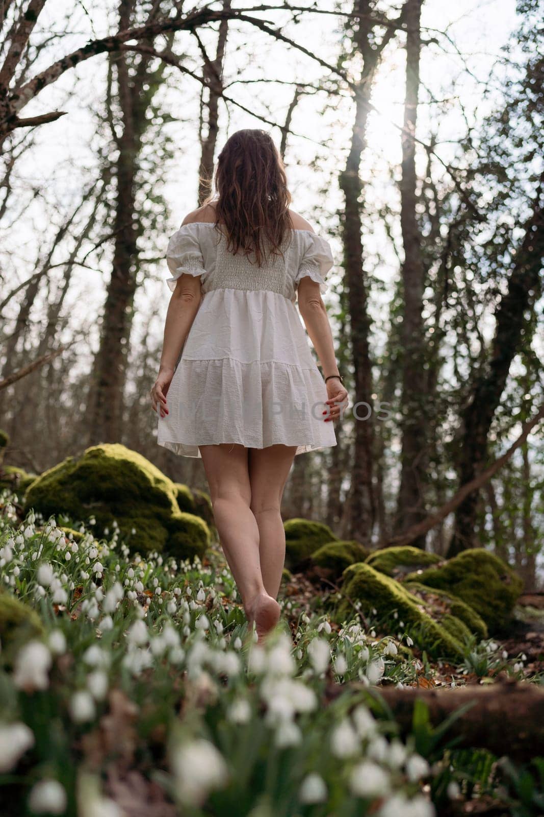 Snowdrops galanthus woman. She stands in a white dress on a meadow with snowdrops in a spring forest by Matiunina