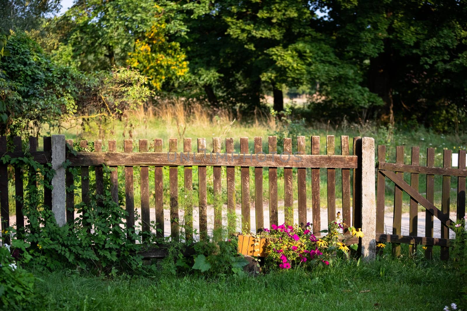 A rural old fence, bathed in the rays of the setting sun. Summer season in rural views.