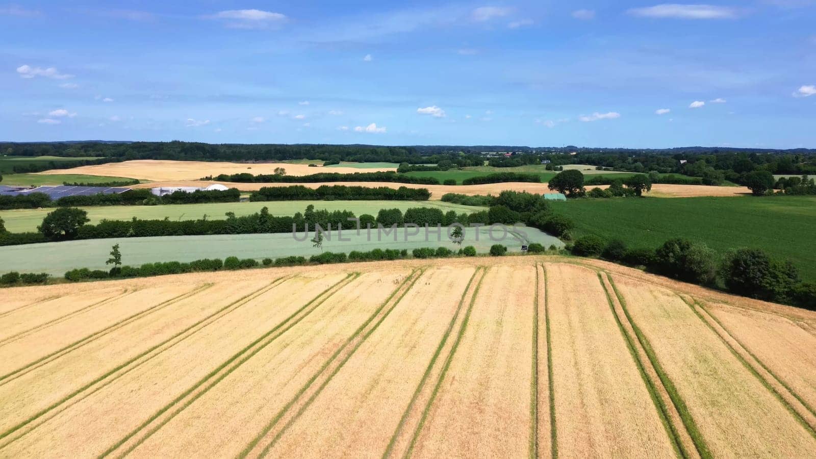 View over a wheat field in good weather found in northern germany