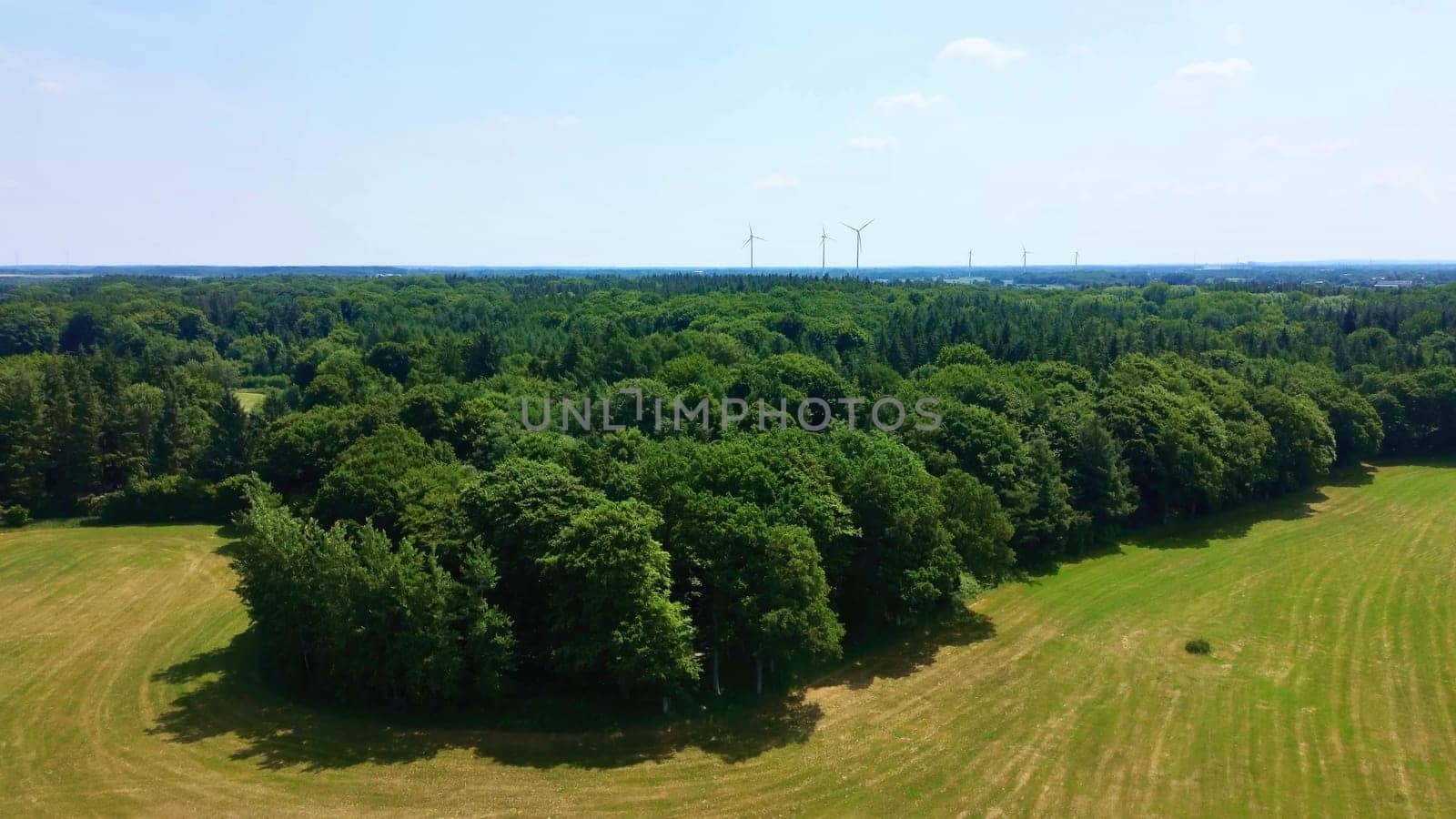 Drone view of a mixed forest with green trees in northern Germany. by MP_foto71