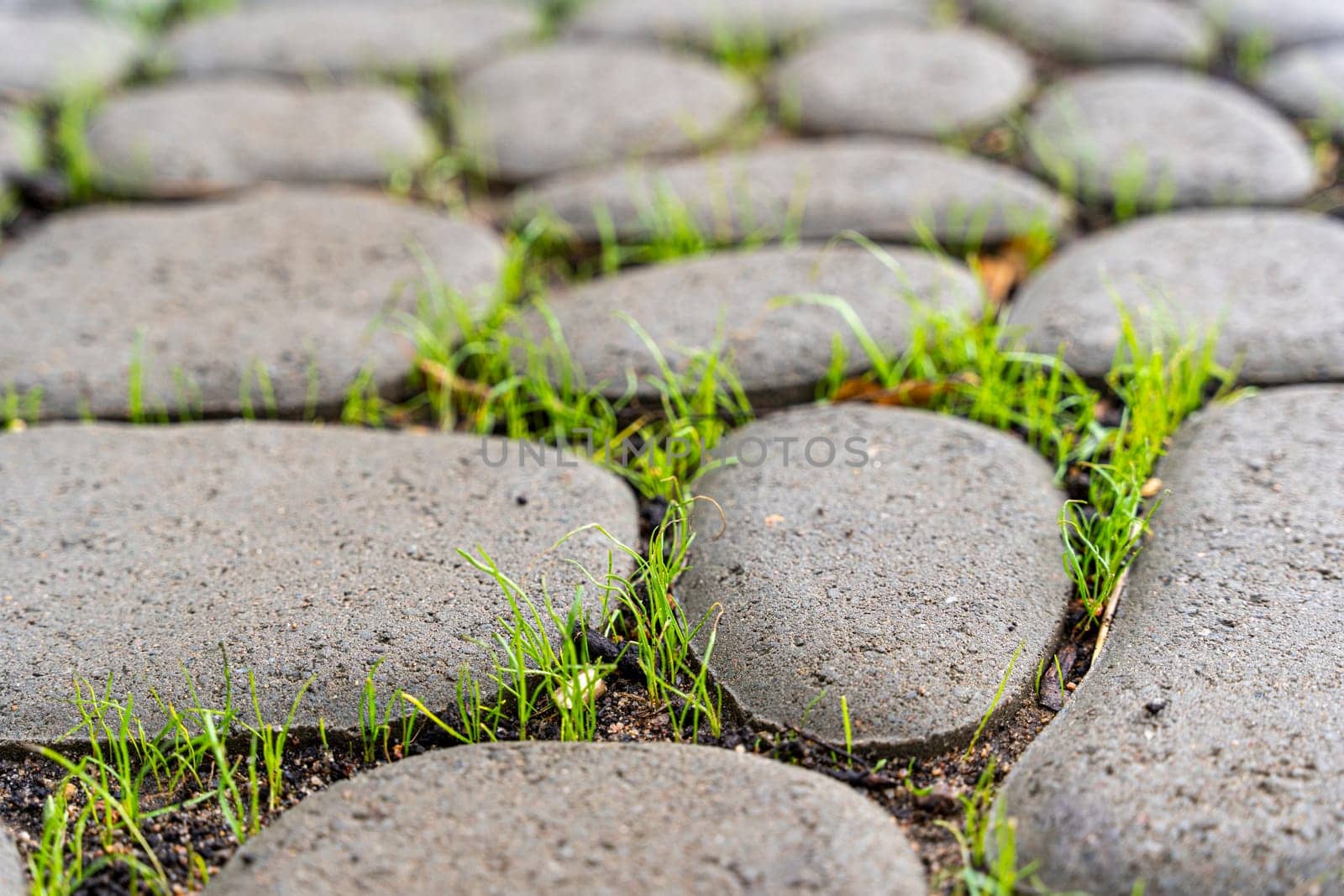 A stone path with sprouted green grass by audiznam2609