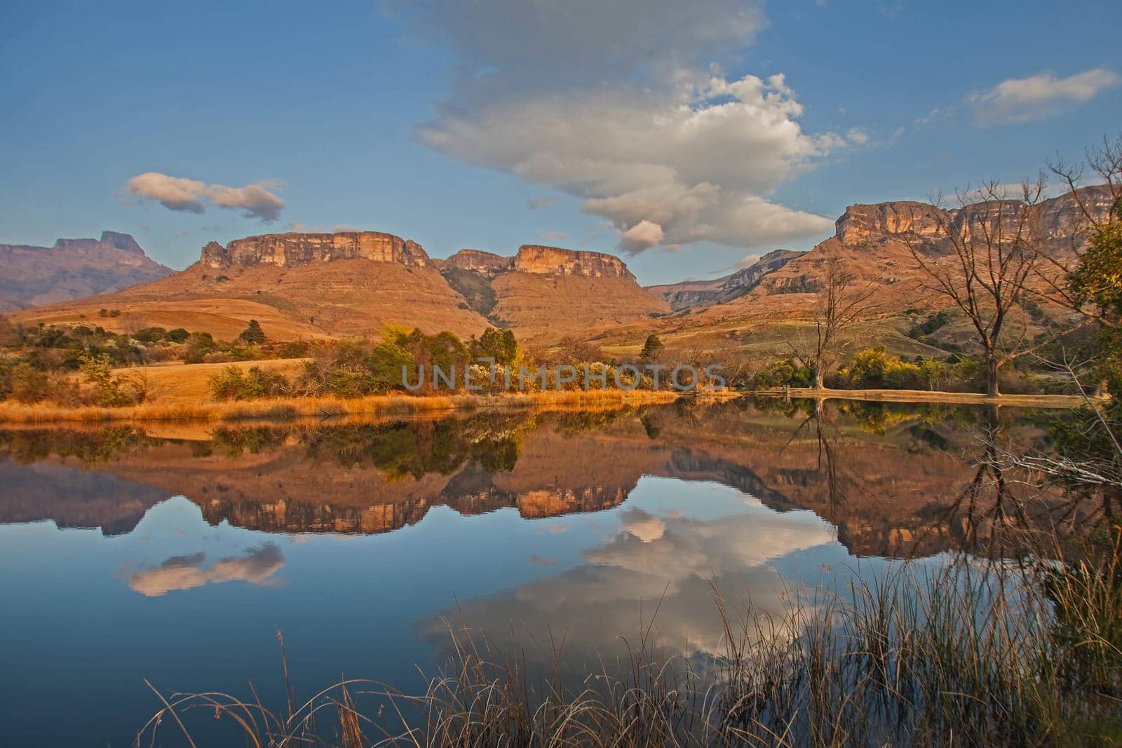 Early morning reflections of mountains and trees in a calm Drakensberg lake in Royal Natal National Park. KwaZulu-Natal. South Africa