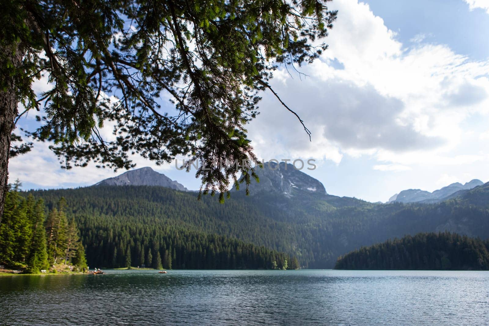 Mountain landscape, Durmitor National Park, Montenegro. Beautiful view of the lake in a beautiful forest against the backdrop of a blur of mountains