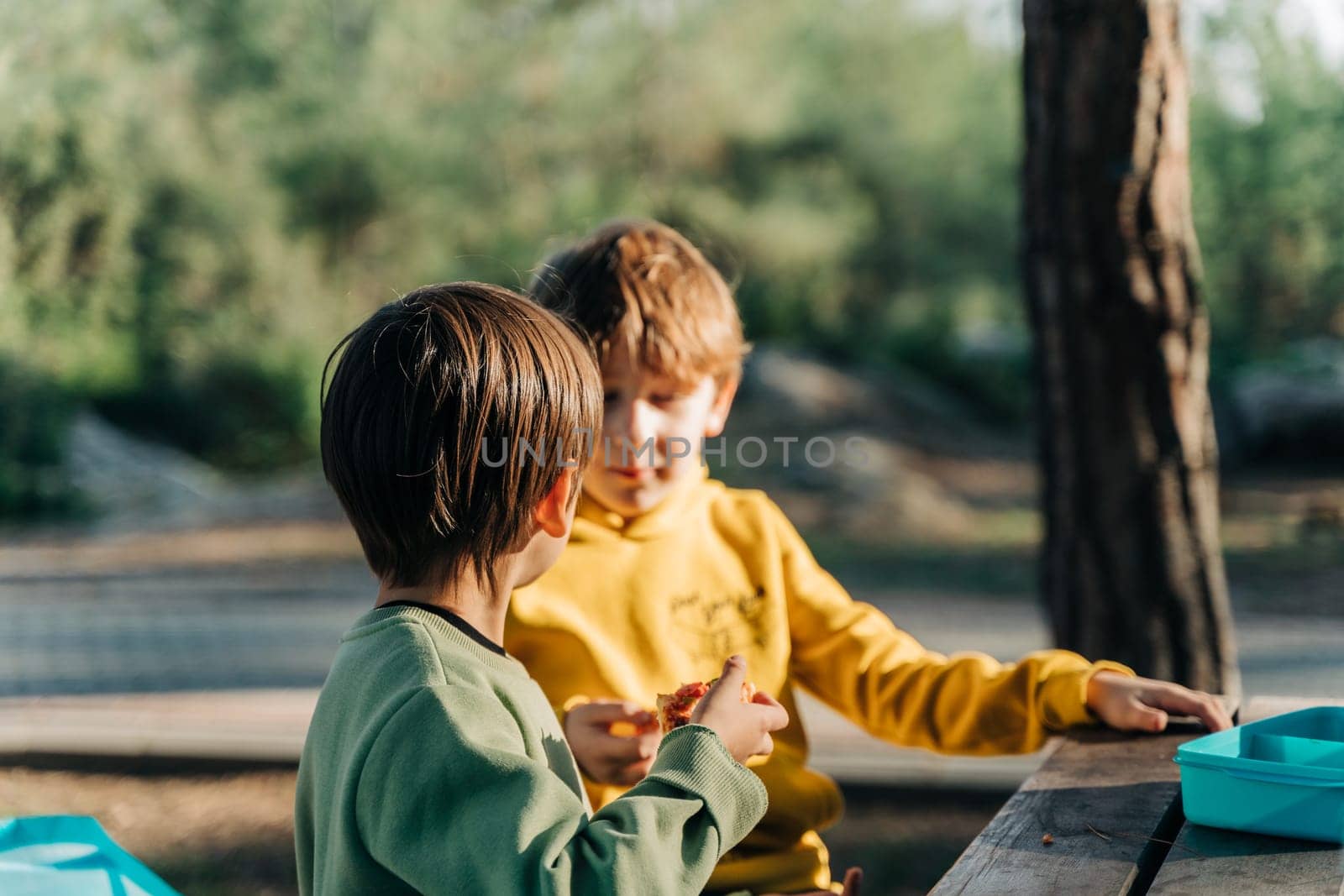 School kids boys having a picnic outdoors in the city park. Brothers siblings enjoying a camping lunch in the forest by Ostanina