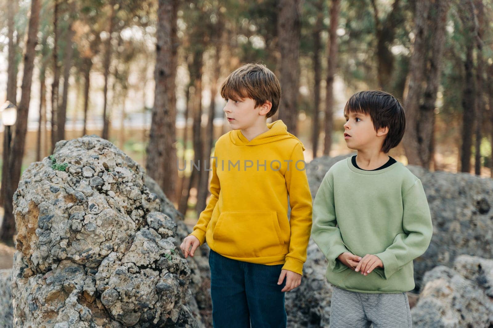 School boys kids playing travel outside in the forest. Siblings brothers children taking a hike in the rocky boulder forest city park by Ostanina
