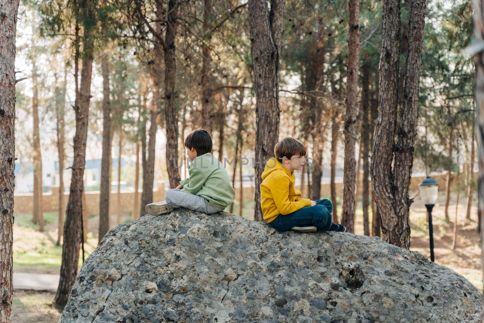 School kids boys having a conflict quarrel sitting on a rock boulder in the city forest park and turned their backs to each other. Brothers siblings dispute beef at each other by Ostanina