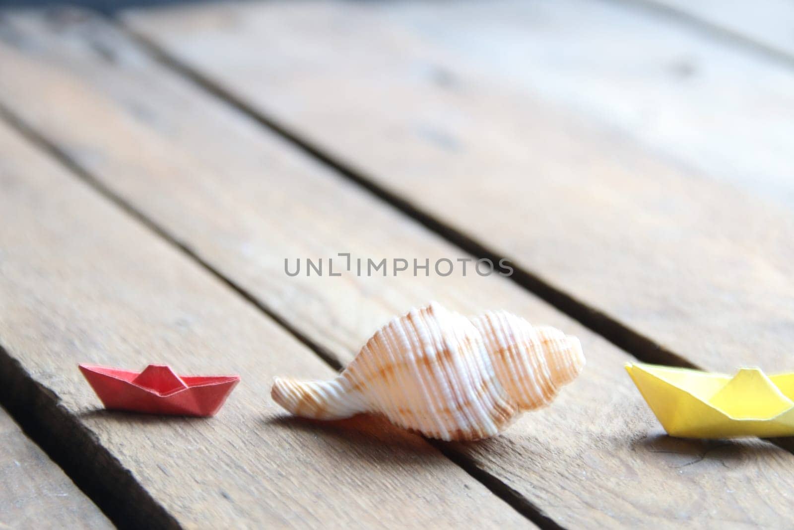 Summer background. Seashell on a wooden background. by Markgraf