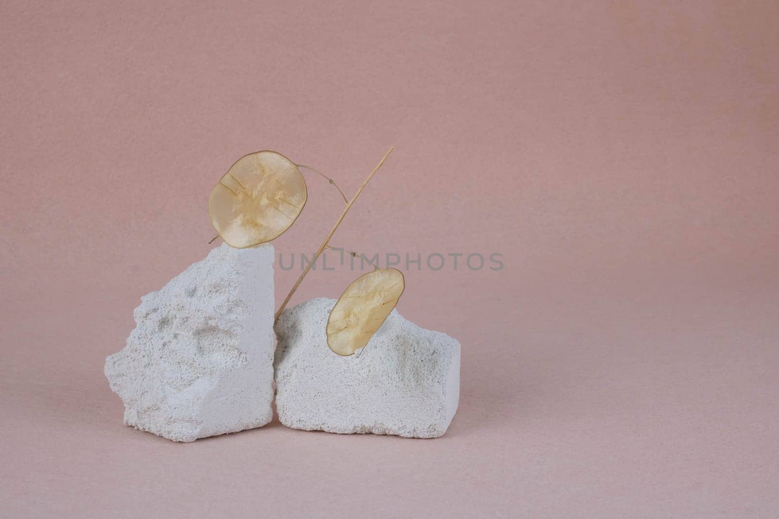 Podium made of white stone with dried flowers on a pink background. Product installation: slabs of broken stone, platform of white stone, placement of objects made of blocks with rough texture. by lapushka62