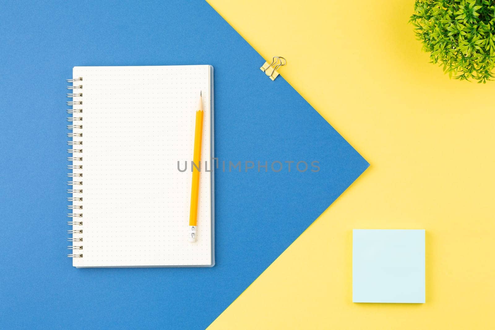 Spiral open notebook with pencil and plant on two tone background. School table concept. Office workplace. Top view, flat lay. Vertical photo.
