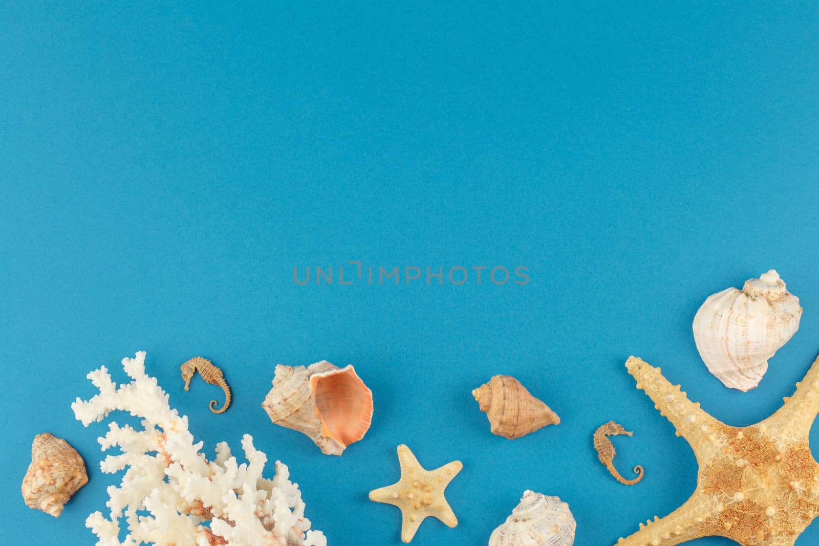 Corals and starfishes on a blue isolated background. Top view. Summertime holiday vacation concept. Flat lay. Banner with seashells.