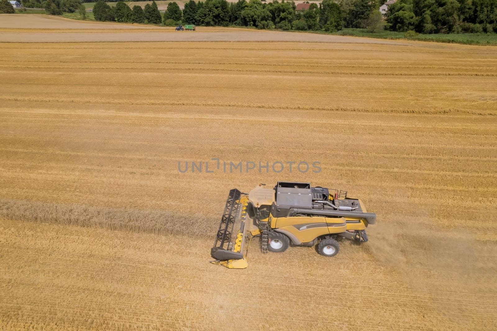 Wheat combines can cover vast areas in field, ensuring an efficient collection of crop. Successful collection of wheat ensures an abundant supply of this valuable cereal grain.