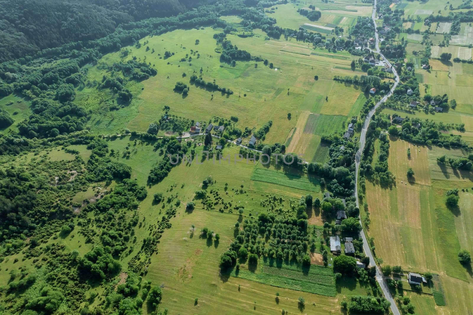 Beauty of nature is evident in lush forests and green landscapes. Trees in Croatia's forests stand tall and proud, providing shade and shelter to countless species.