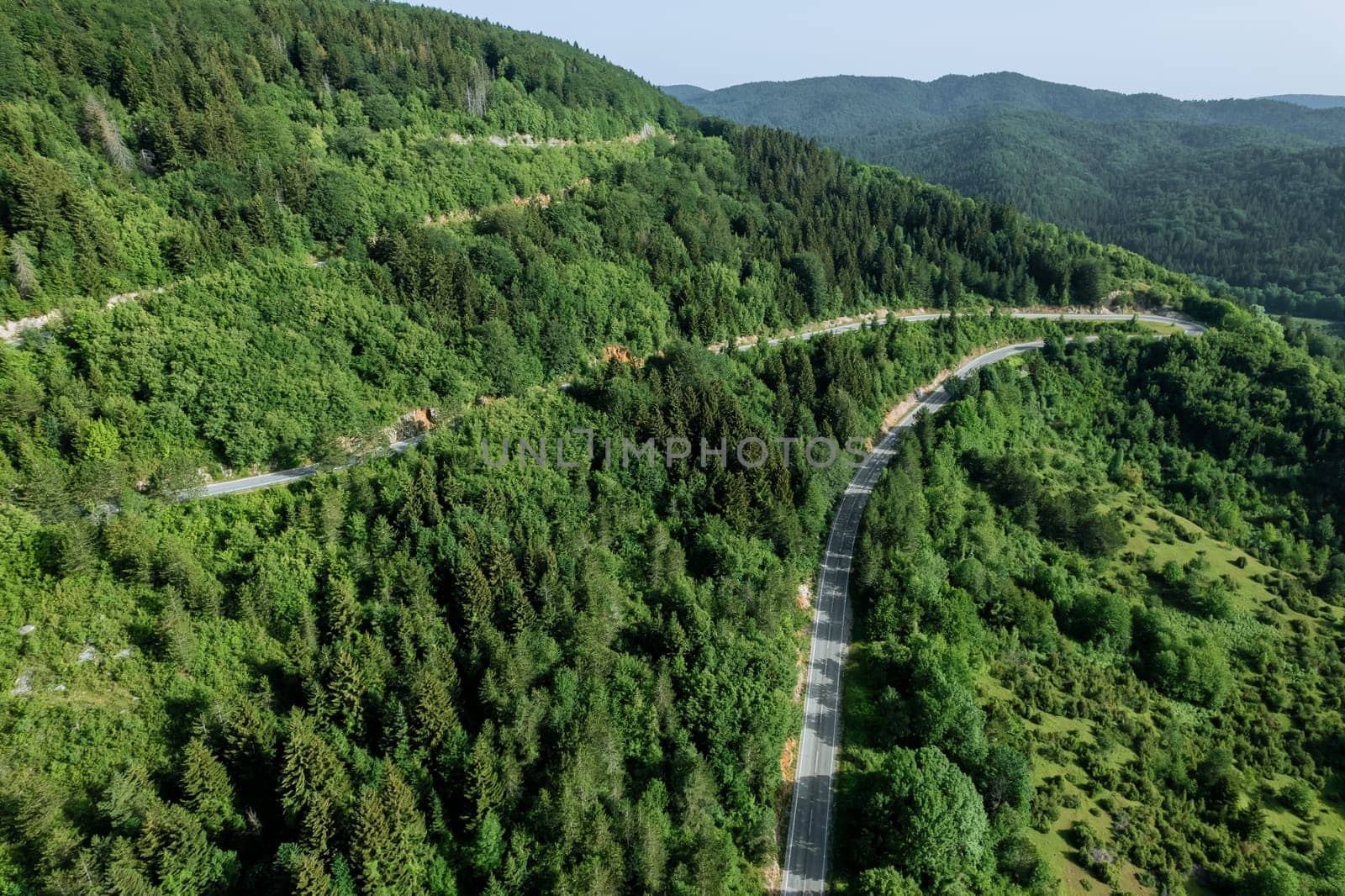 Forests in Croatia are teeming with diverse flora and fauna, showcasing richness of its natural heritage. Serpentine road meanders through enchanting forests, offering stunning views.